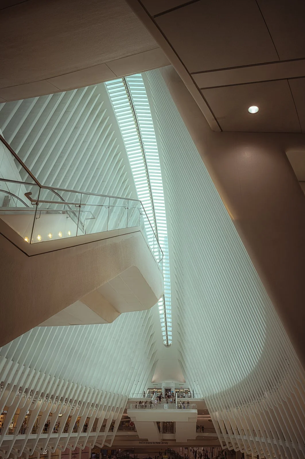 Oculus abstract