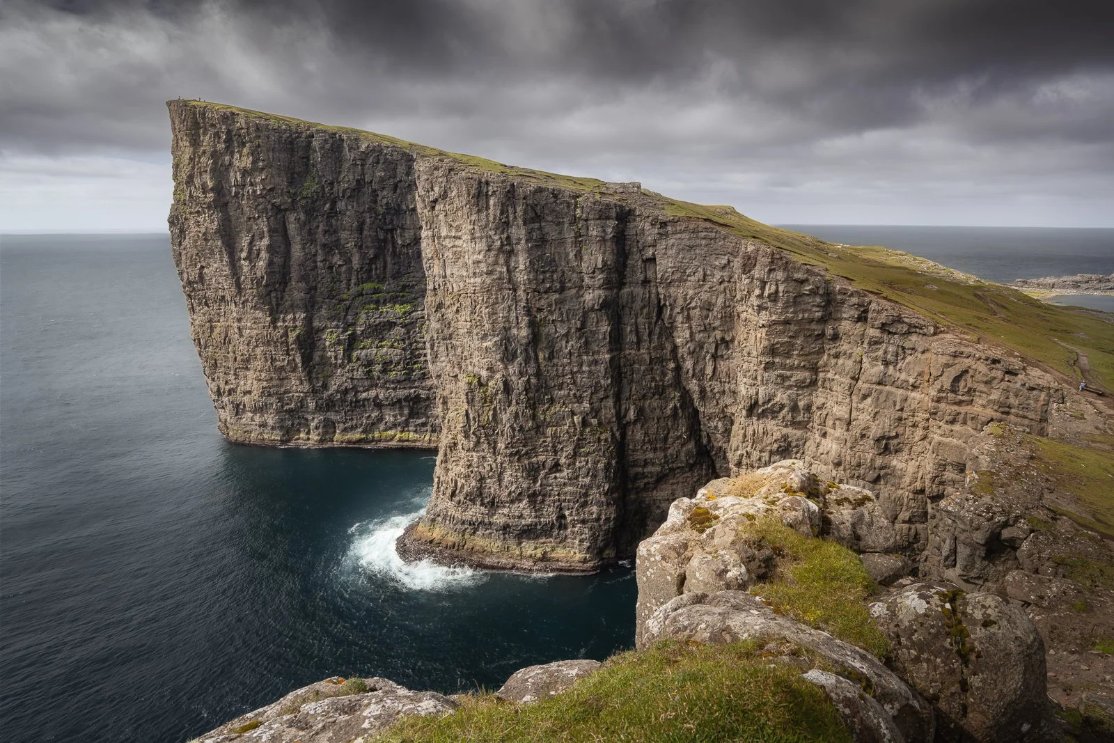 Trælanípa