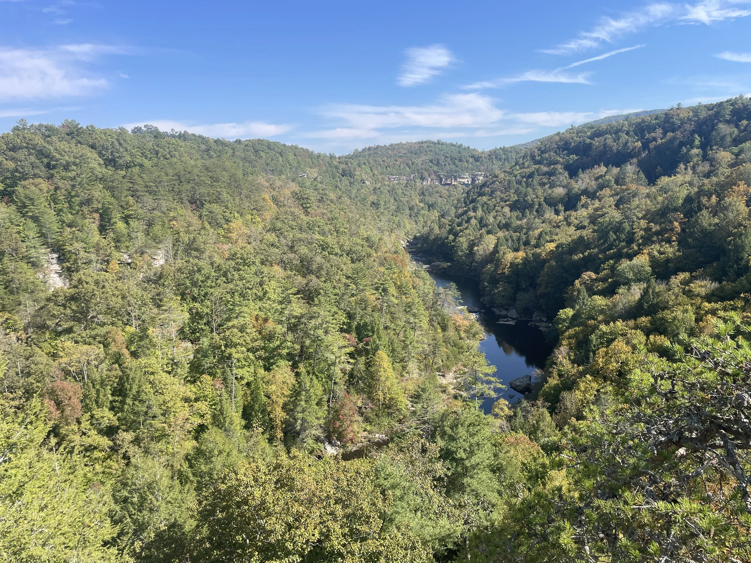 An early fall riverscape over looking the Obed Wild and Scenic River