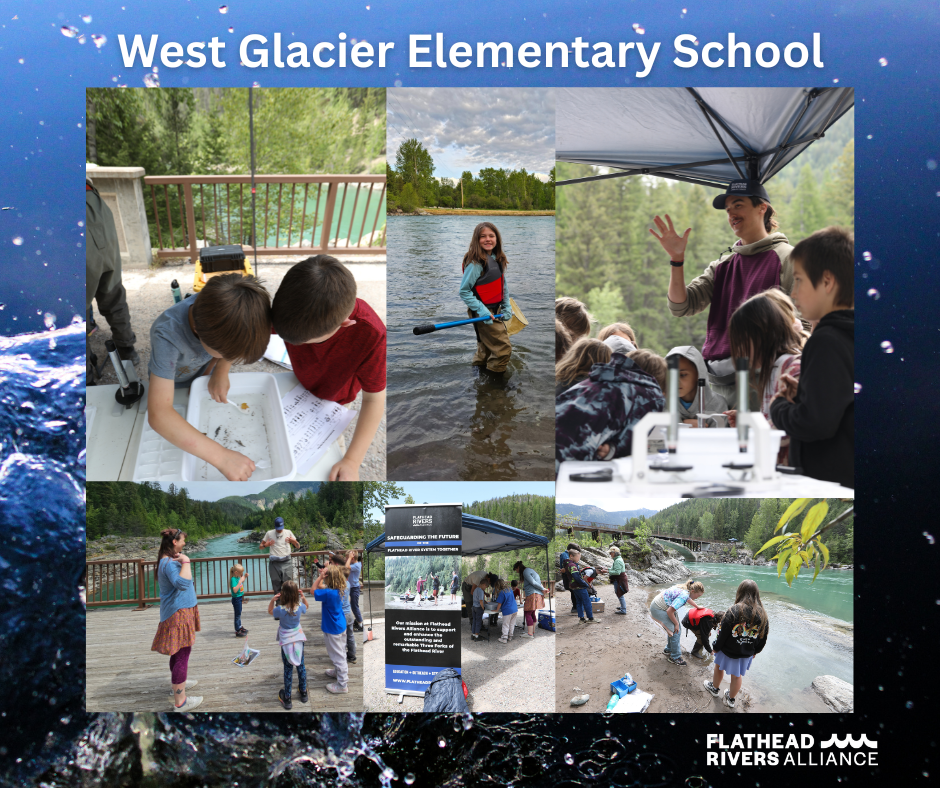 2025 West Glacier Elementary Stream Ecology Program: Inspiring the Next Generation of River Stewards