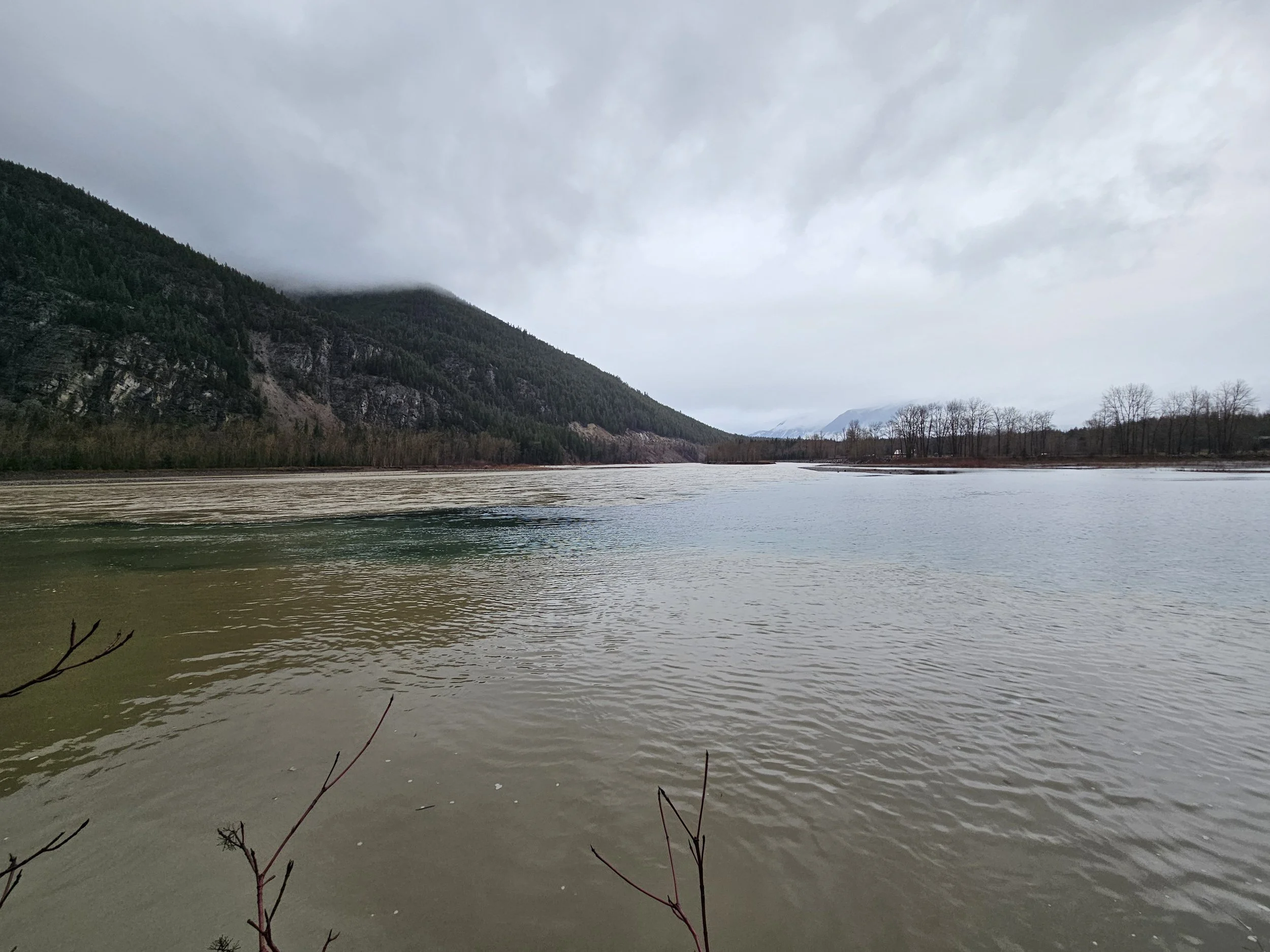 Thursday, Dec. 11th, 2025 10:36 MST Confluence Middle and South Forks of Flathead River looking upstream from HWY 2 near Hungry Horse, MT Photo Credit: Sheena Pate