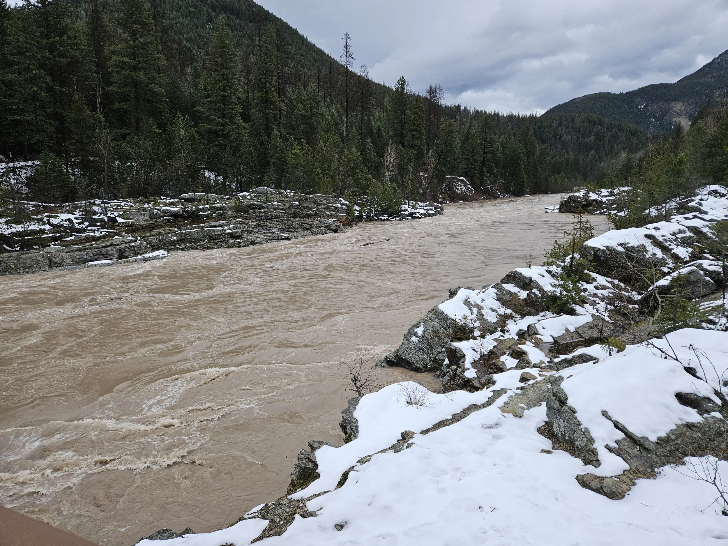 Thursday, Dec. 11th, 2025 15:38 MST Middle Fork of the Flathead Wild &amp; Scenic River looking upstream of Belton Bridge, near West Glacier, MT Photo Credit: Sheena Pate