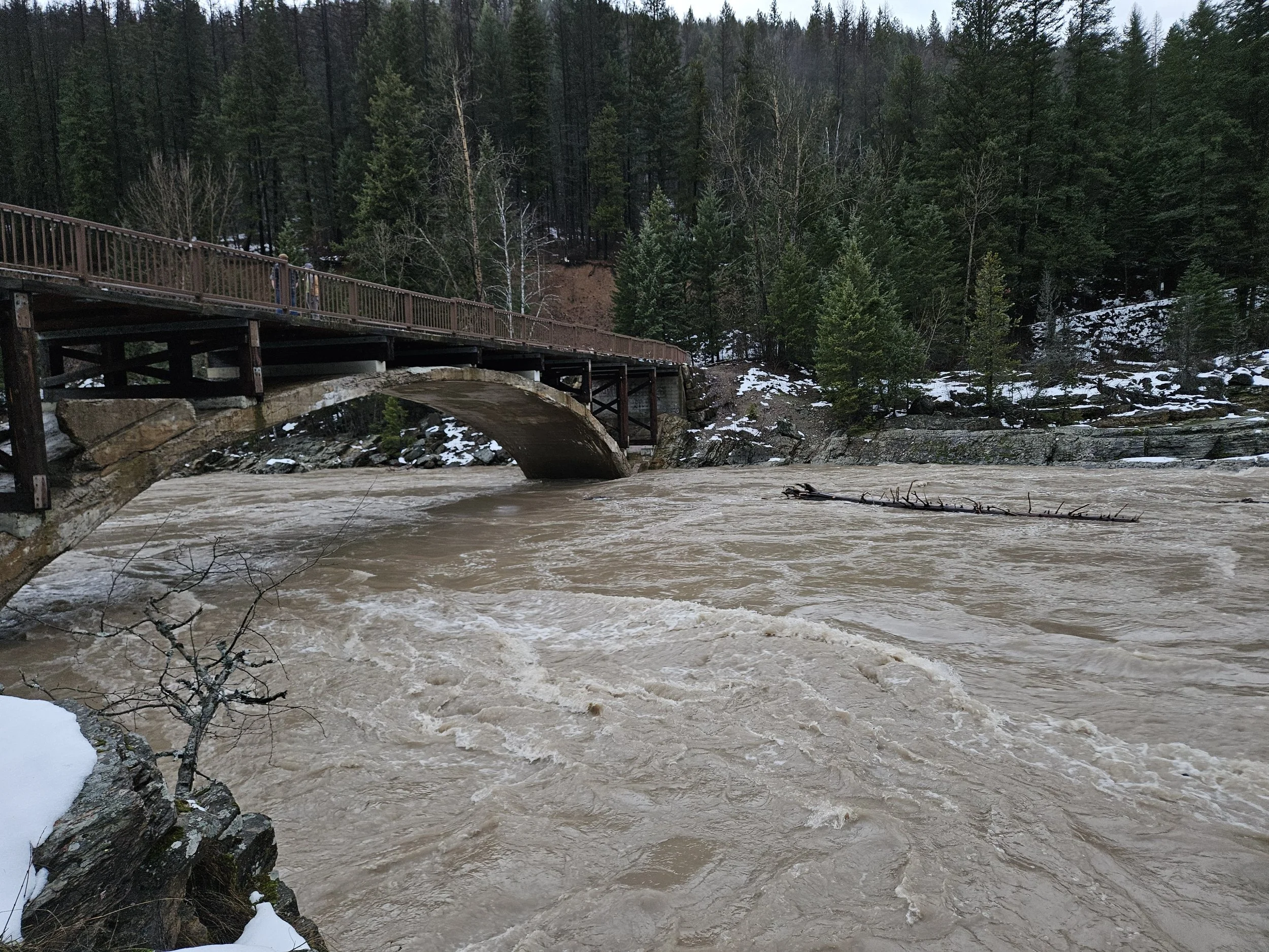 Thursday, Dec. 11th, 2025 15:38 MST Middle Fork of the Flathead Wild &amp; Scenic River looking downstream towards Belton Bridge, near West Glacier, MT Photo Credit: Sheena Pate