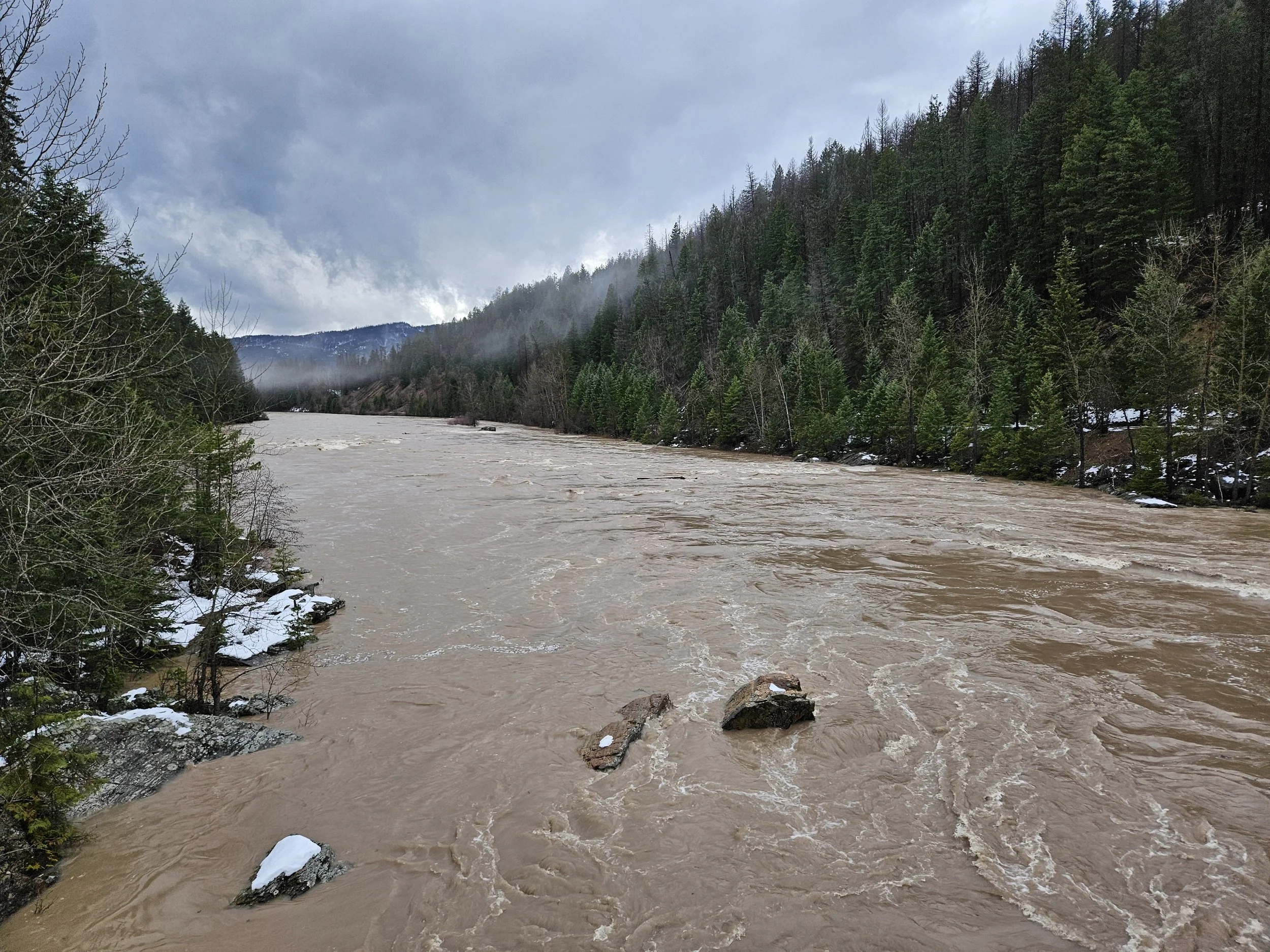 Thursday, Dec. 11th, 2025 15:38 MST Middle Fork of the Flathead Wild &amp; Scenic River looking downstream below Belton Bridge, near West Glacier, MT Photo Credit: Sheena Pate