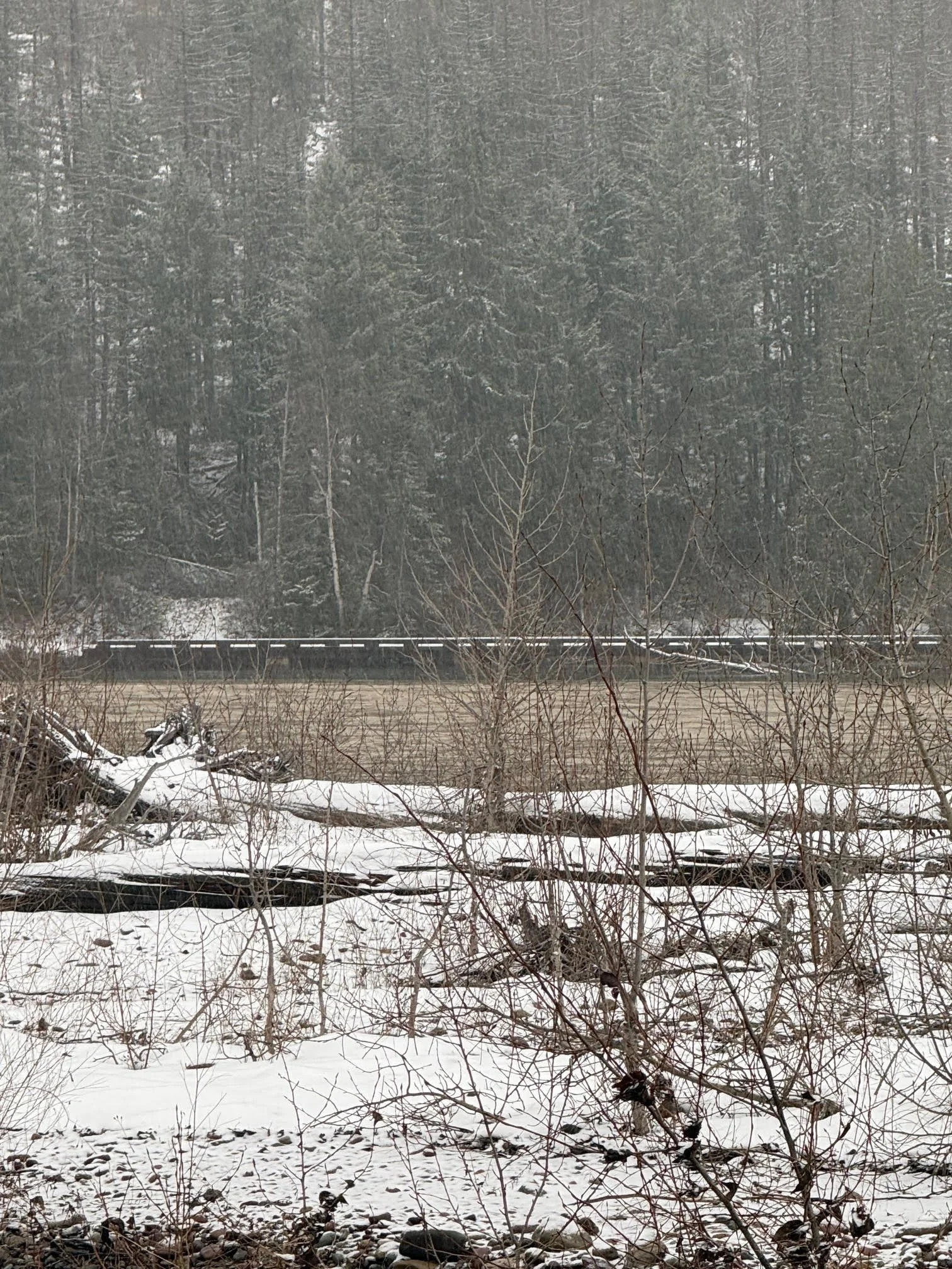 Fri., Dec. 12th, 2025 12:00 MST Middle Fork Flathead Wild &amp; Scenic River looking towards Quarter Circle Bridge Glacier National Park near West Glacier, MT Video Screen Grab Credit: Rachel Schmidt