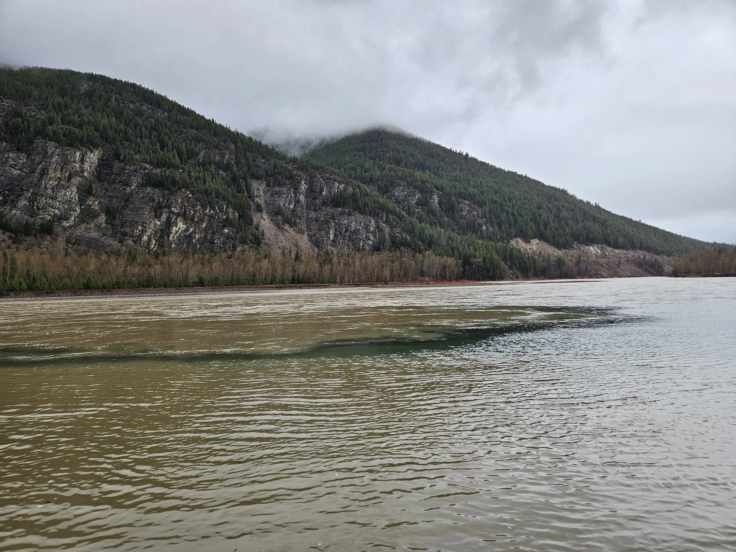 Thursday, Dec. 11th, 2025 10:36 MST Confluence Middle and South Forks of Flathead River looking upstream from HWY 2 near Hungry Horse, MT Photo Credit: Sheena Pate