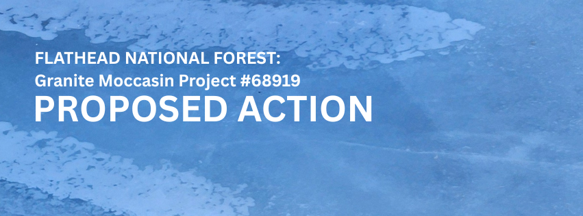 Granite Moccasin Project Open for Public Review - Comments Requested 1/15/26