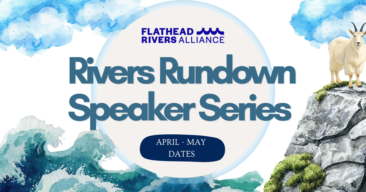 Rivers Rundown Speaker Series: Flathead Fisheries