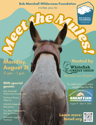 Meet the Mules