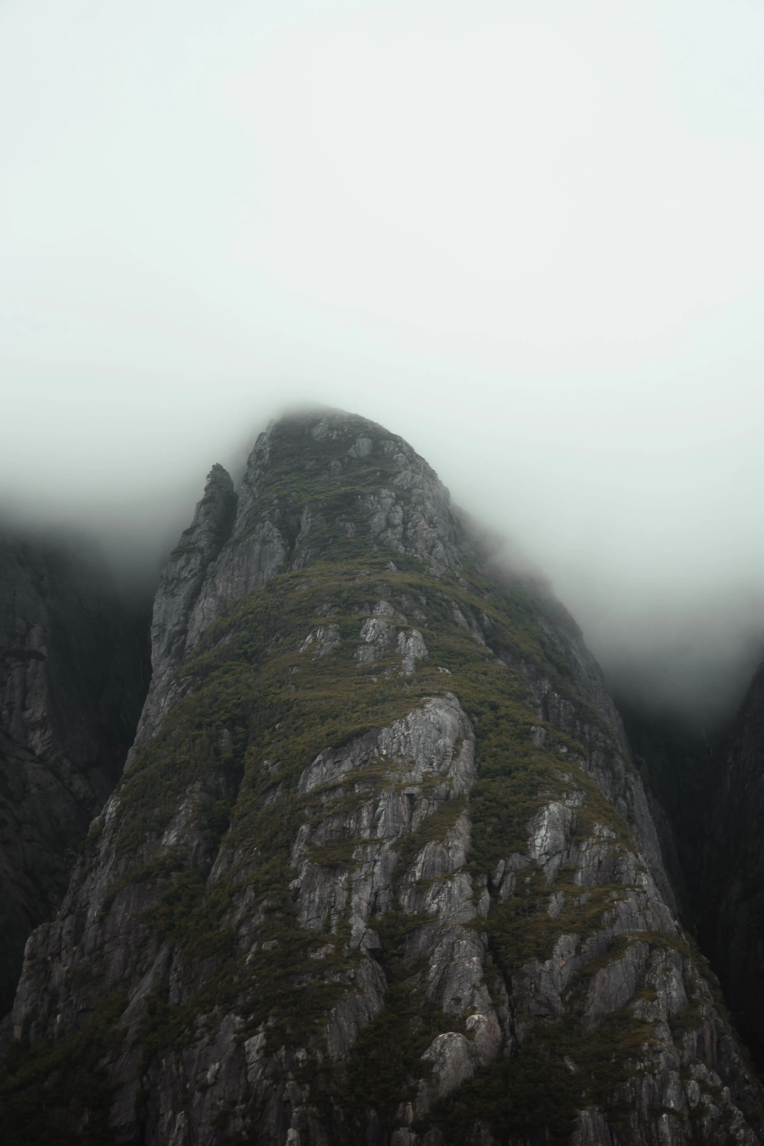 Porter - NFLD Web-12.jpg