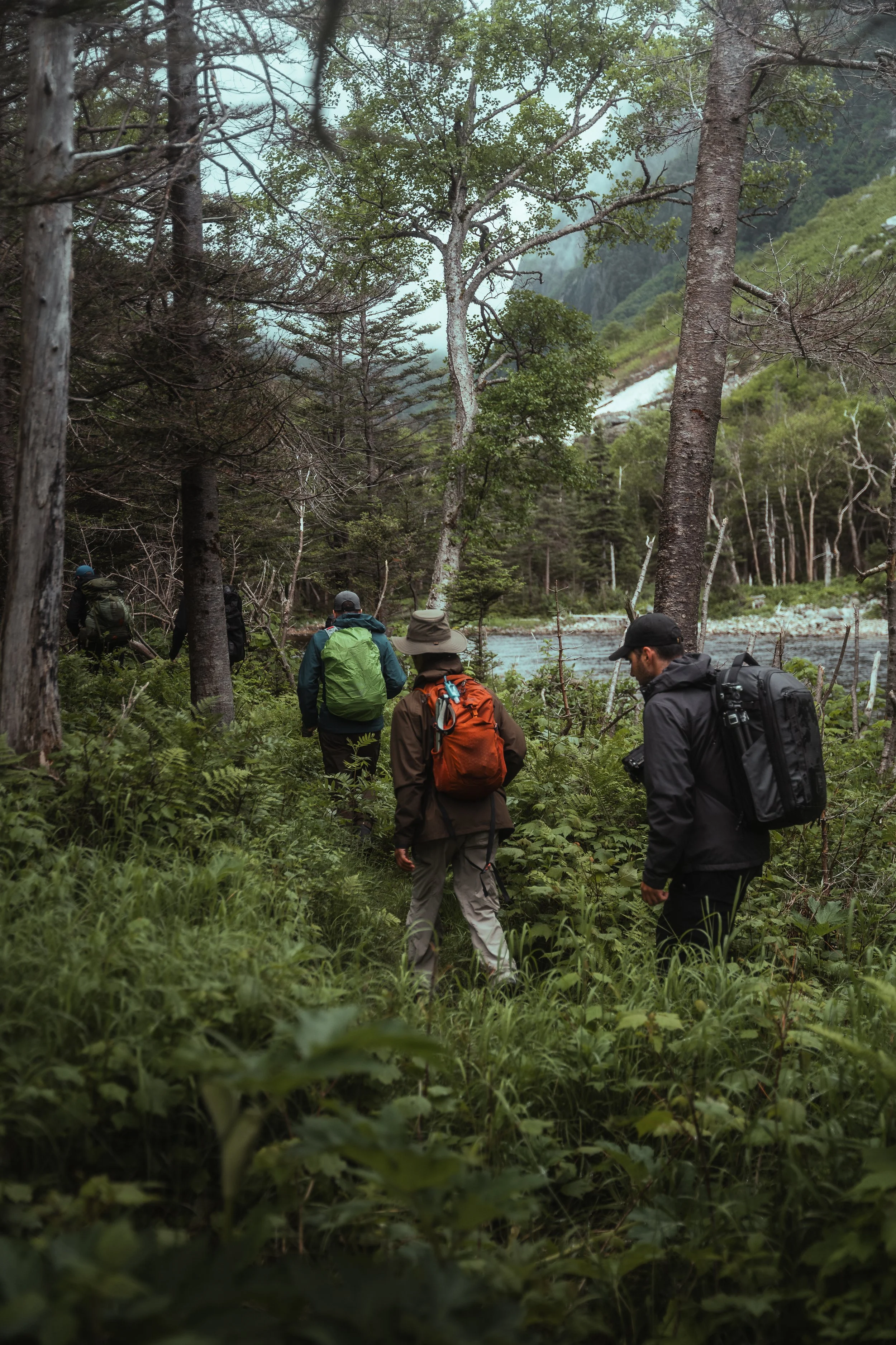 Porter - NFLD Web-16.jpg