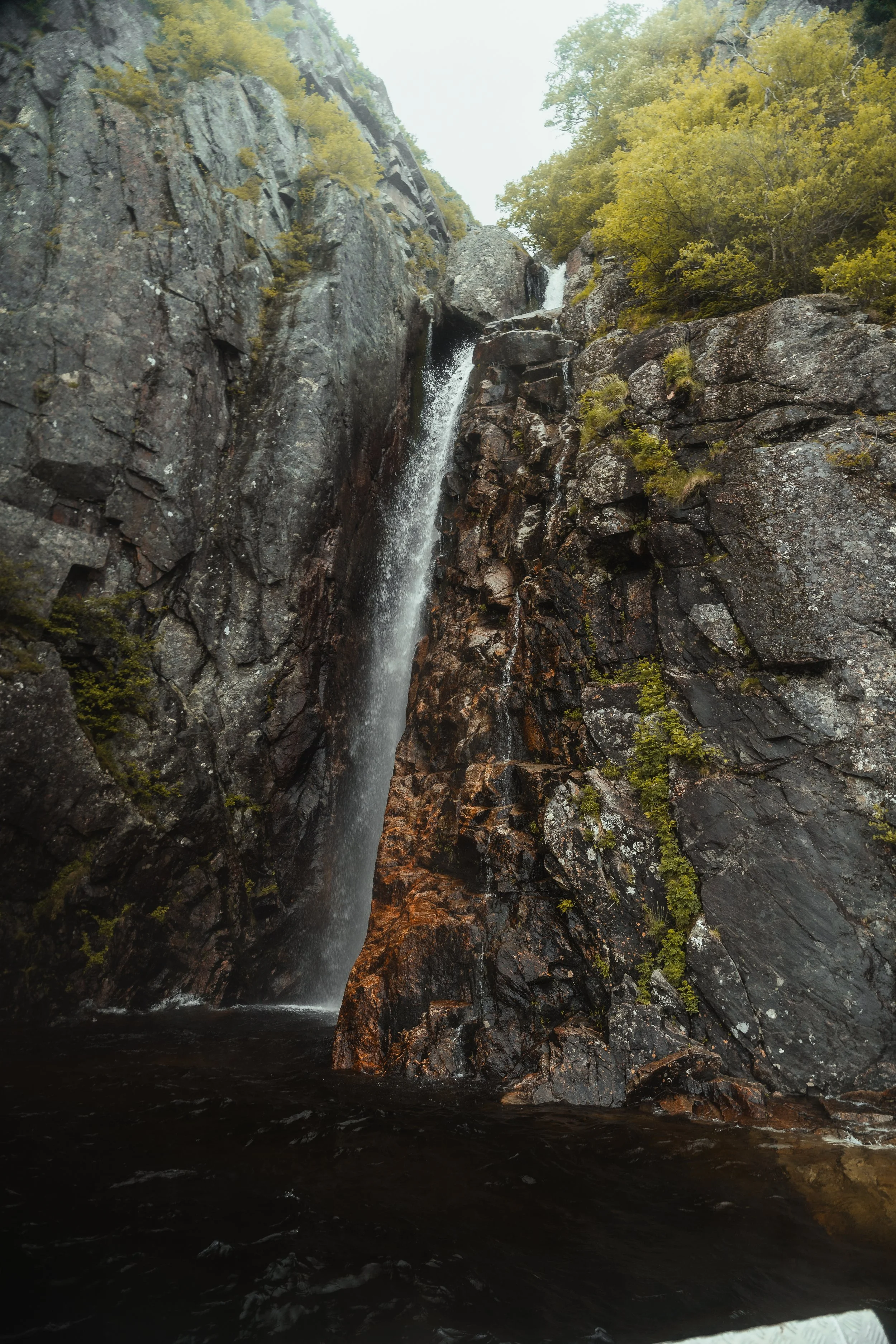 Porter - NFLD Web-13.jpg