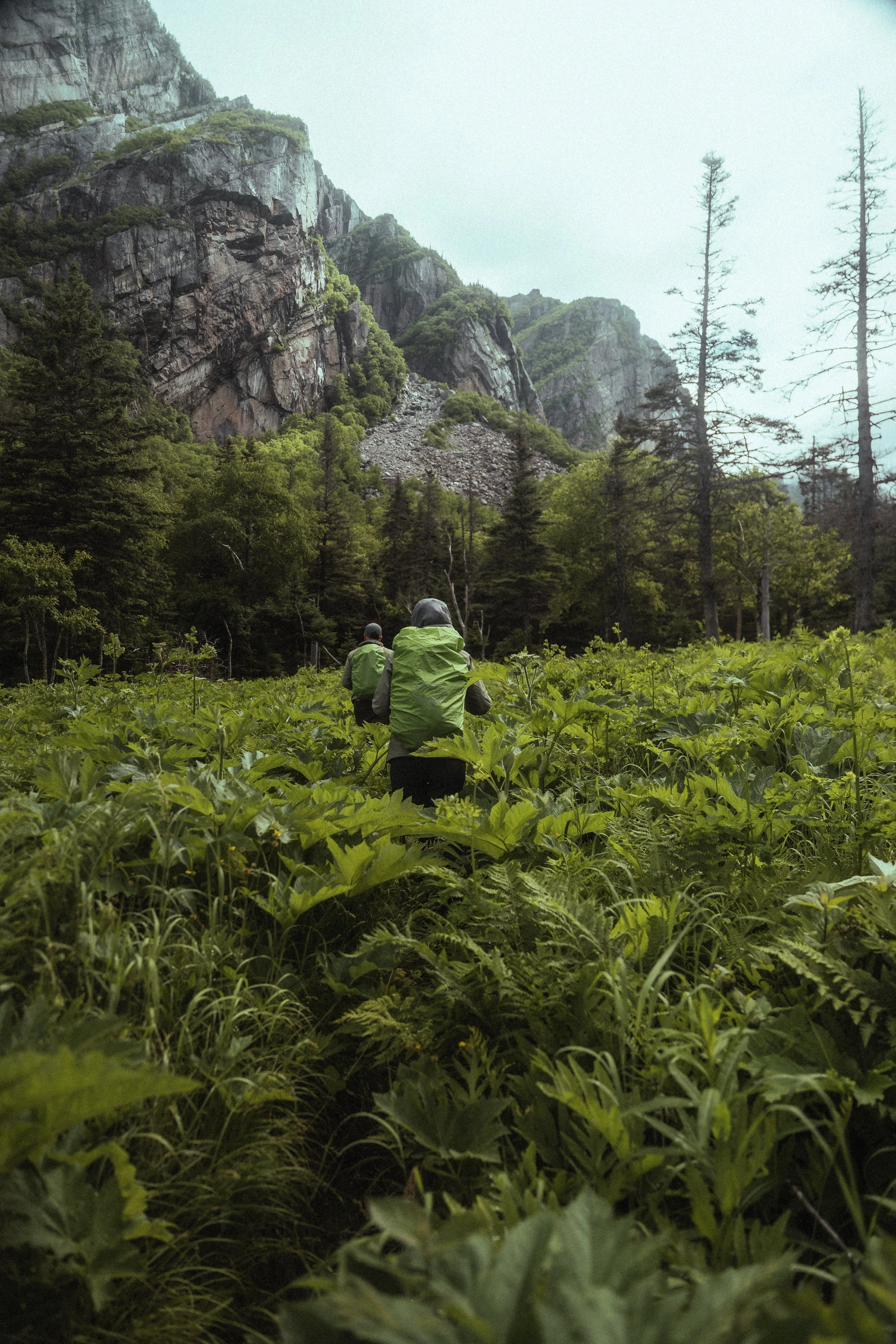 Porter - NFLD Web-18.jpg