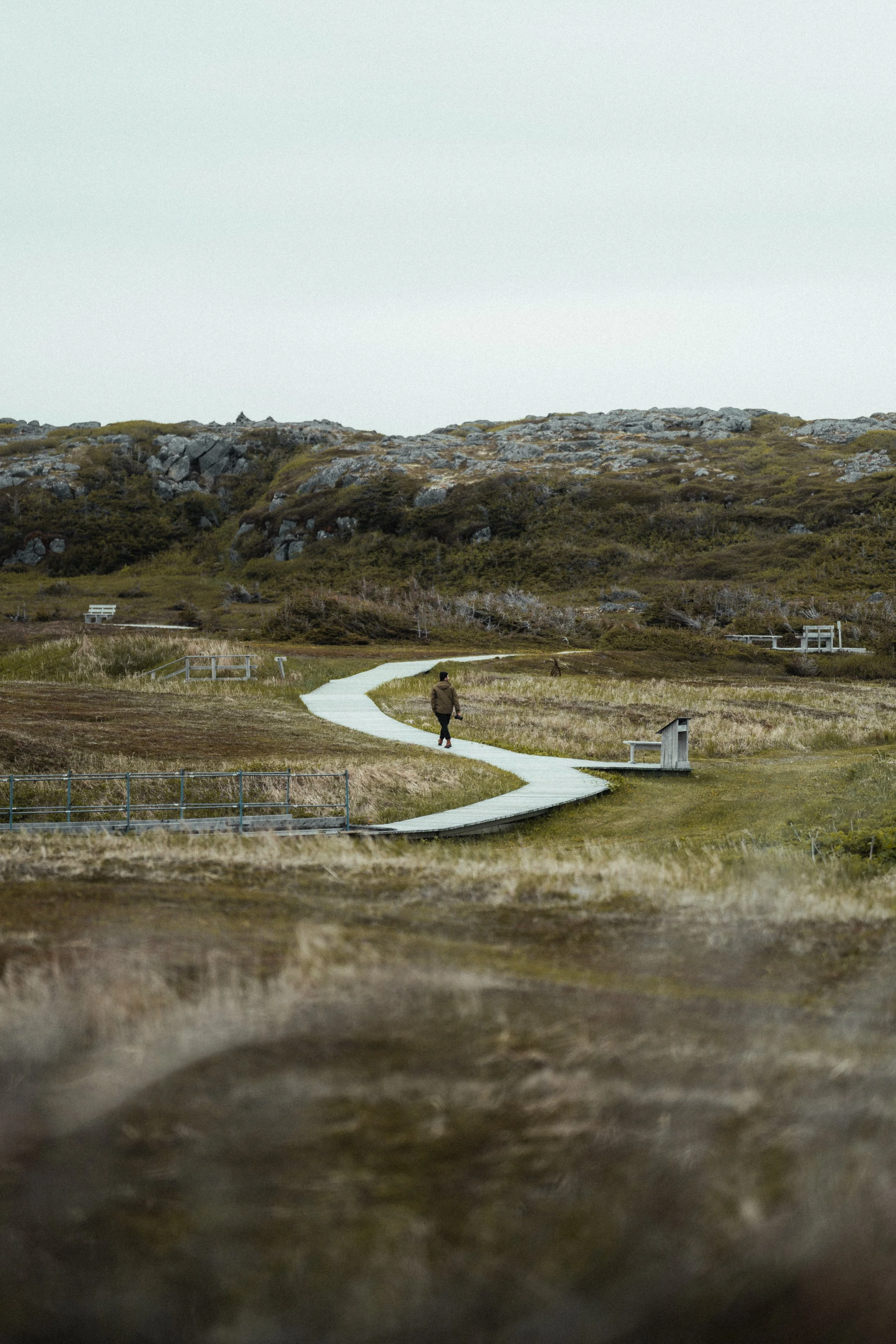 Porter - NFLD Web-10.jpg