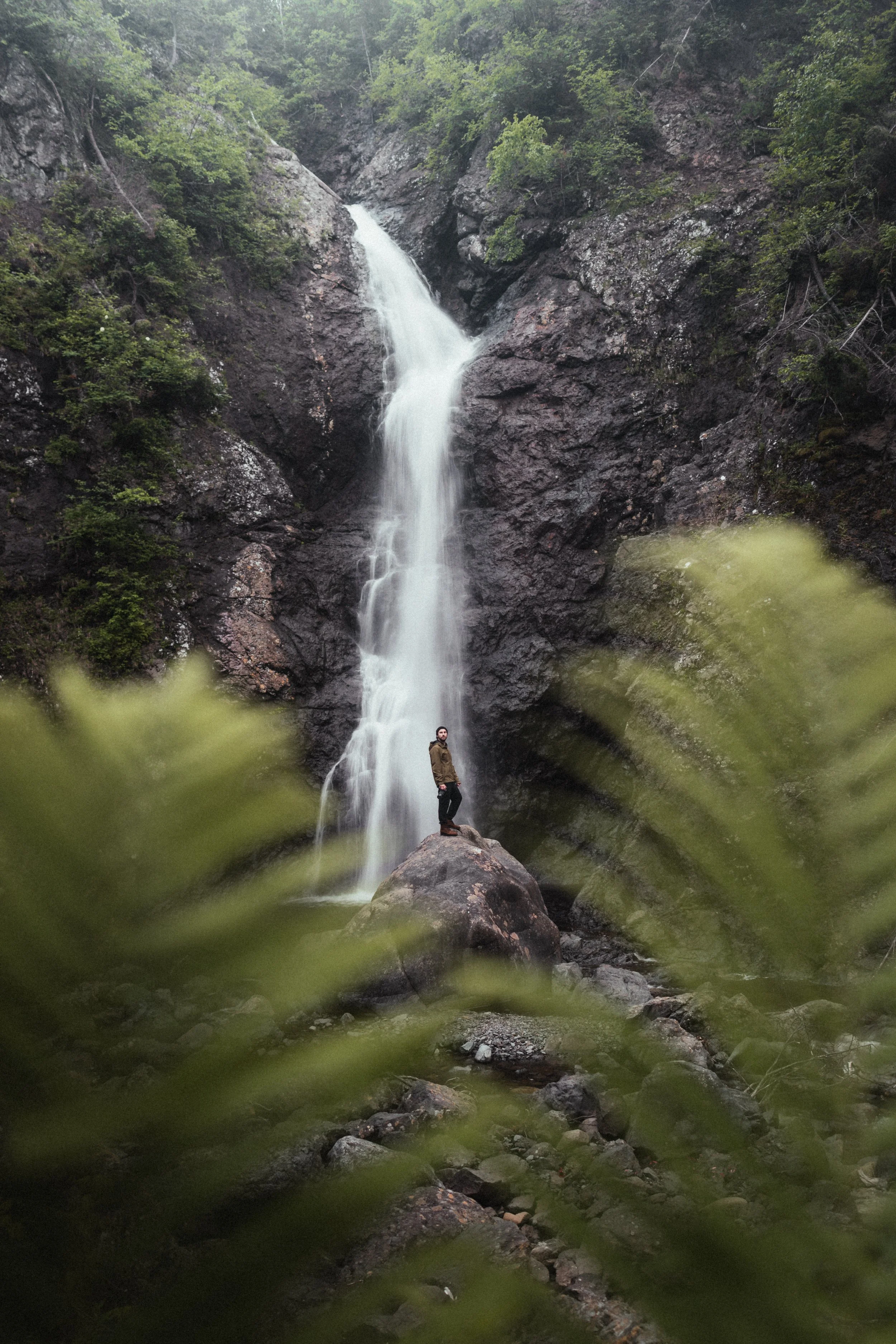 Porter - NFLD Web-1.jpg