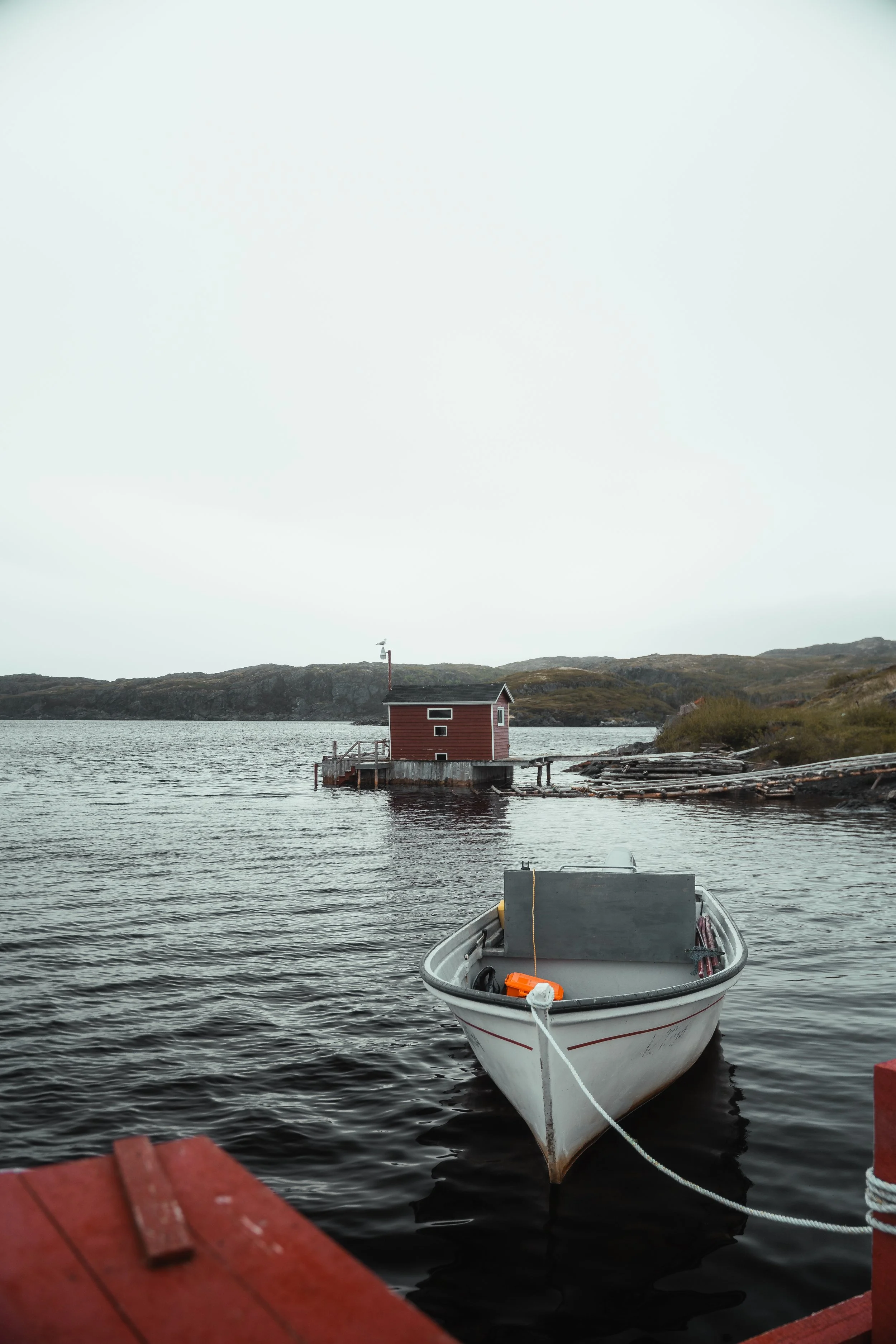 Porter - NFLD Web-11.jpg