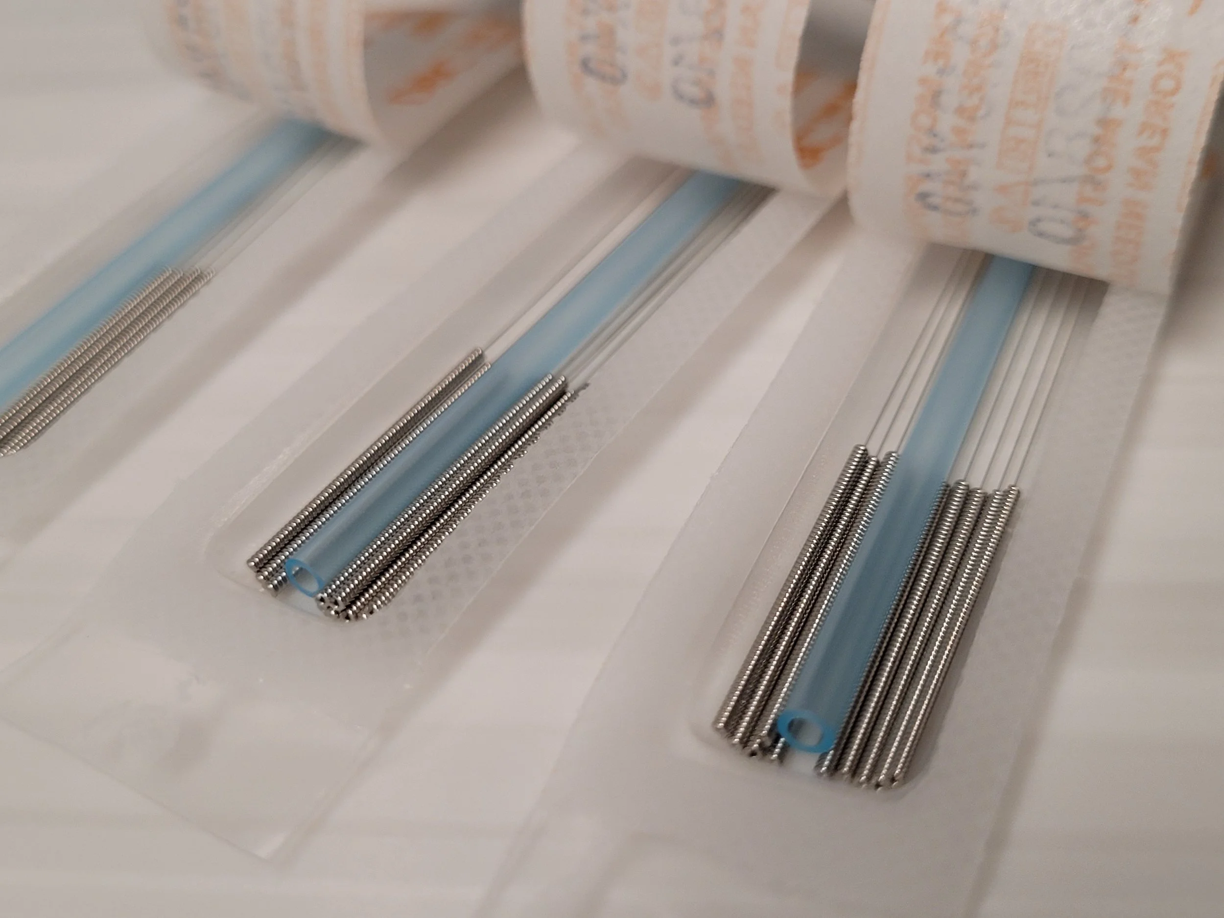 Meet Tanya Miszko: Japanese Acupuncture Expert at AO-The Space |Gentle ...