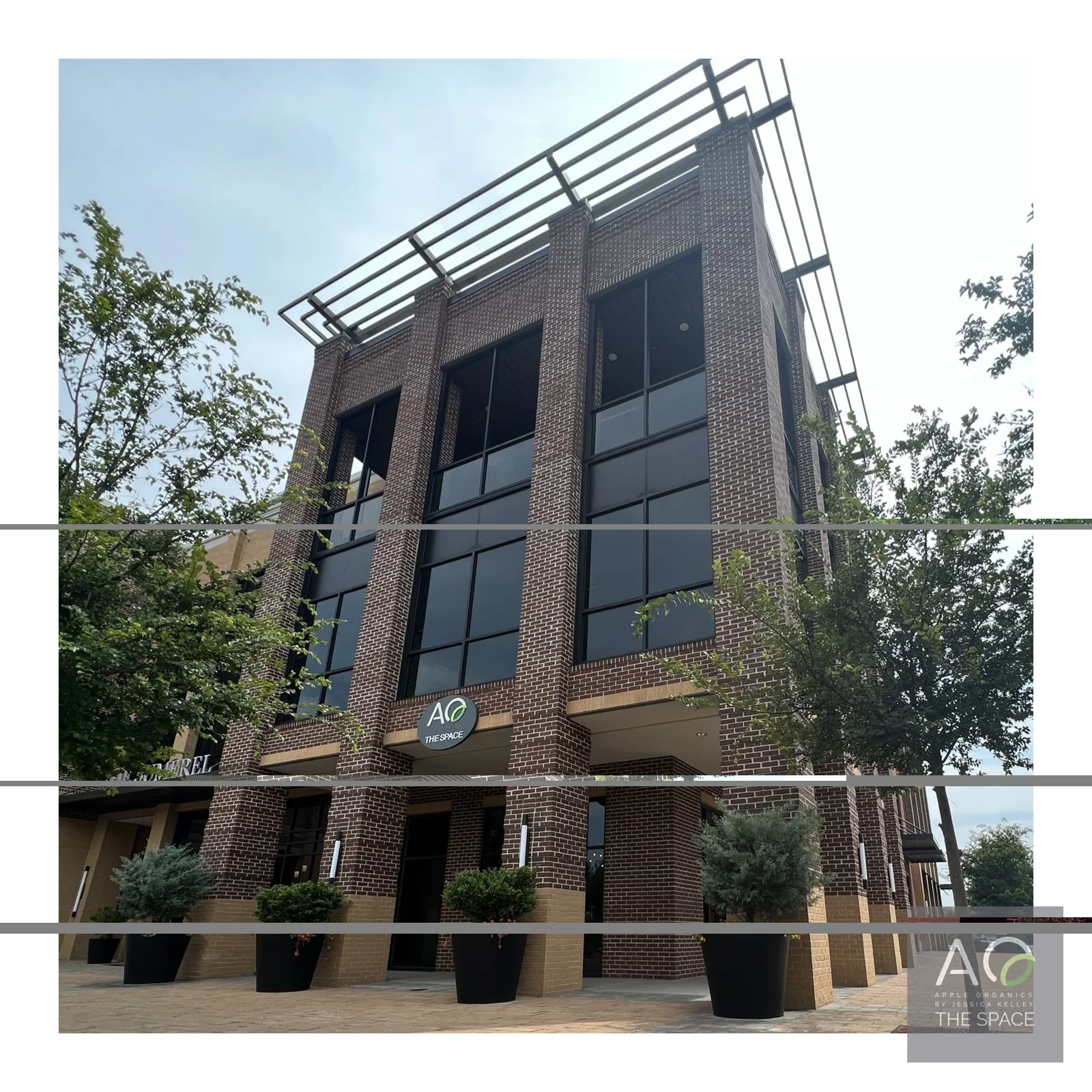 Why We Chose Hollingsworth Park: The Story Behind AO–The Space