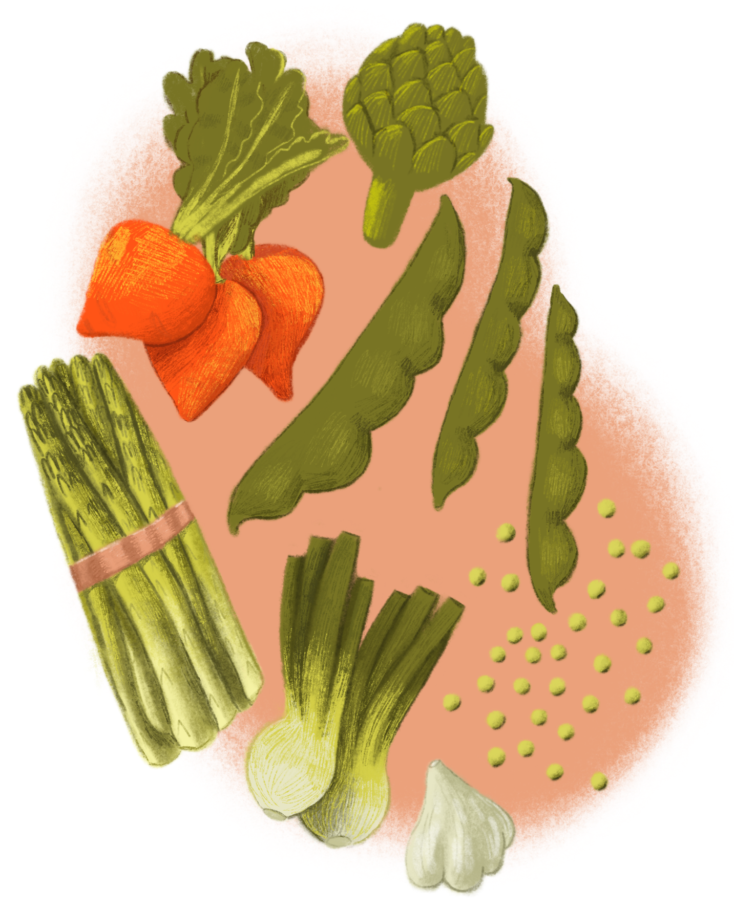 Seasoned_Cook_Spring.png