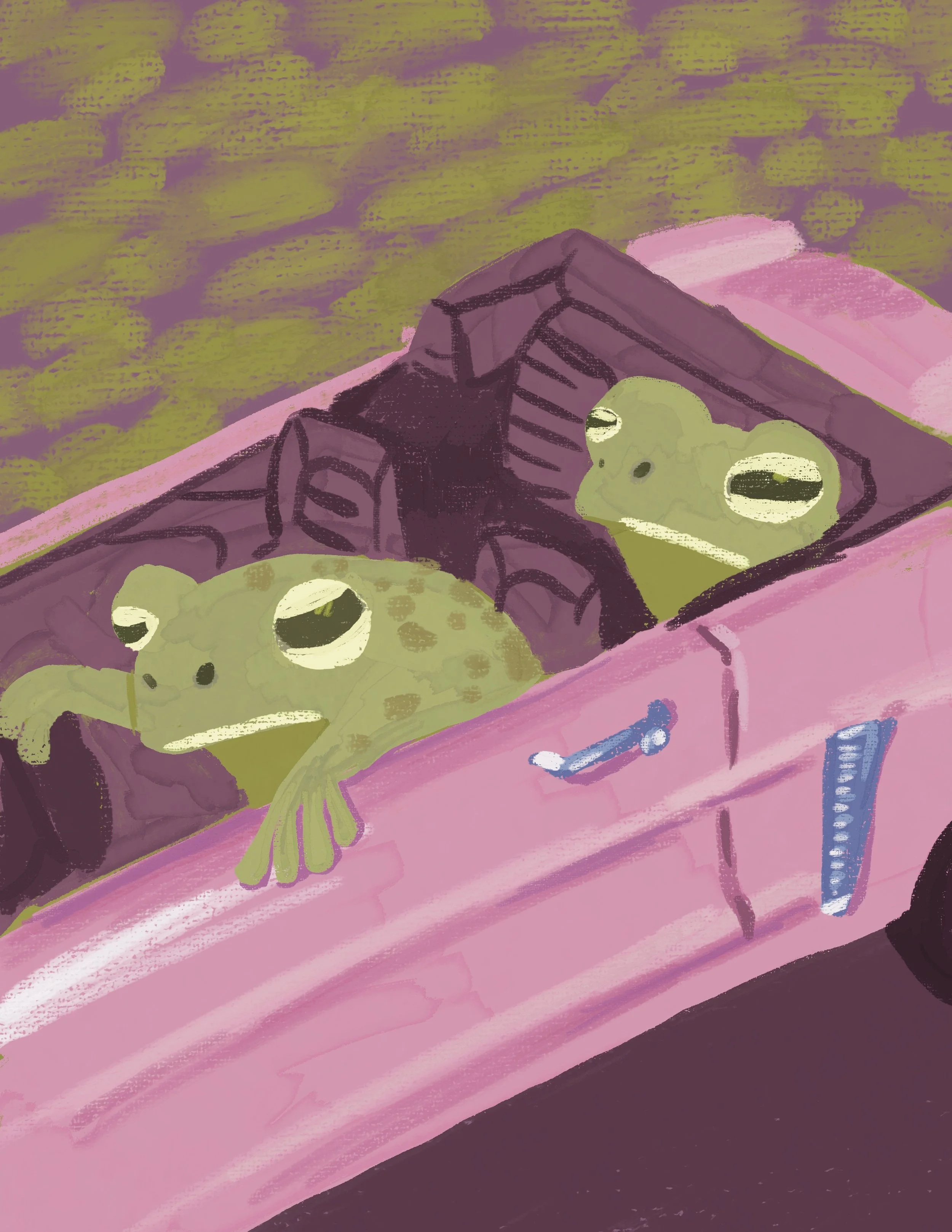frogs.jpg