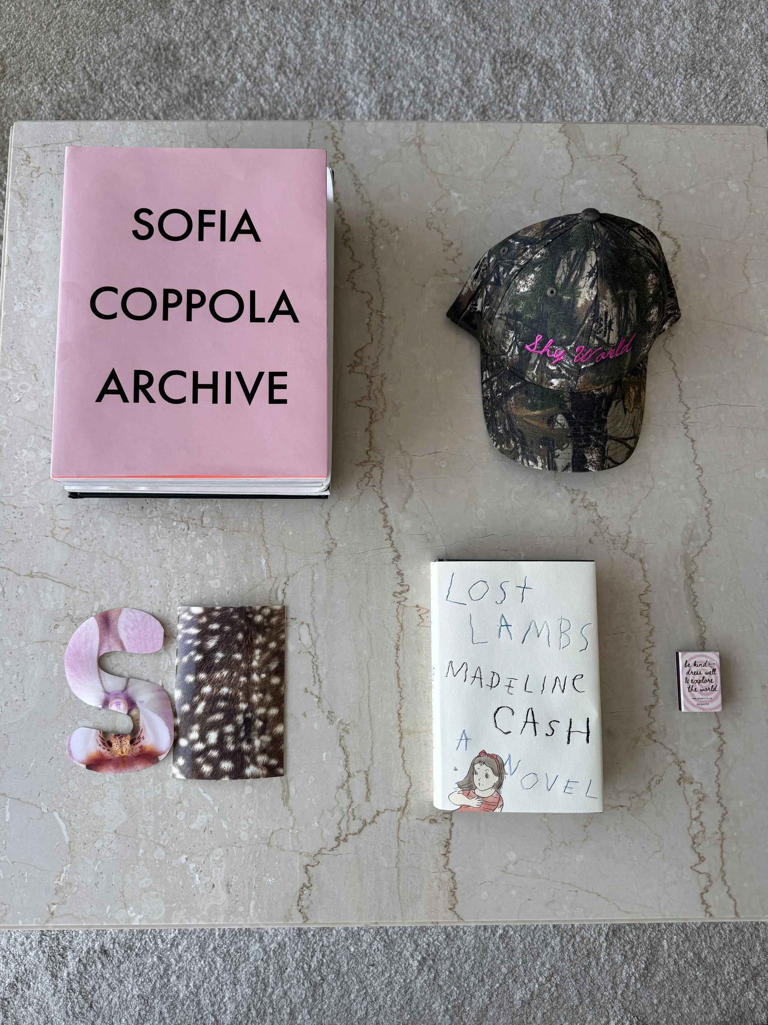 Shy World Book Club #2 ~ Lost Lambs by Madeline Cash