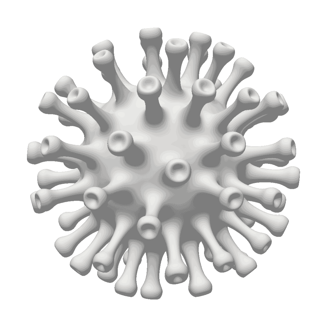 Coronavirus