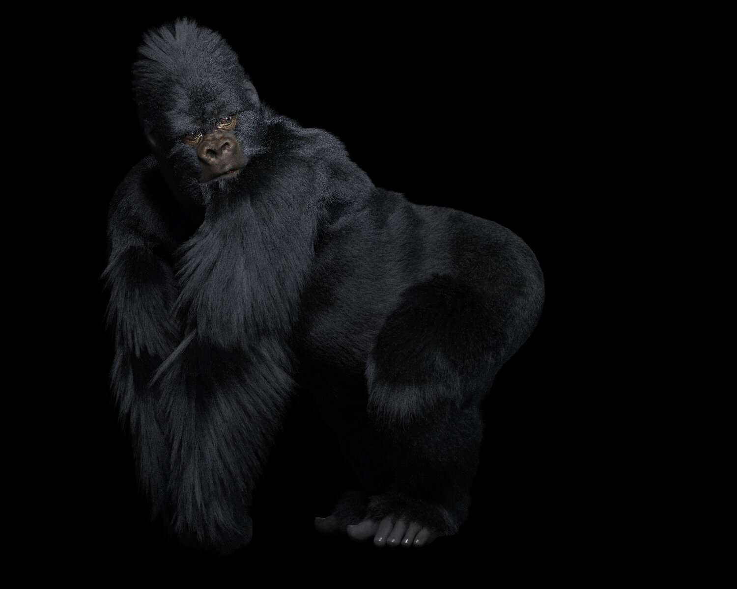 Giant of Karisimbi