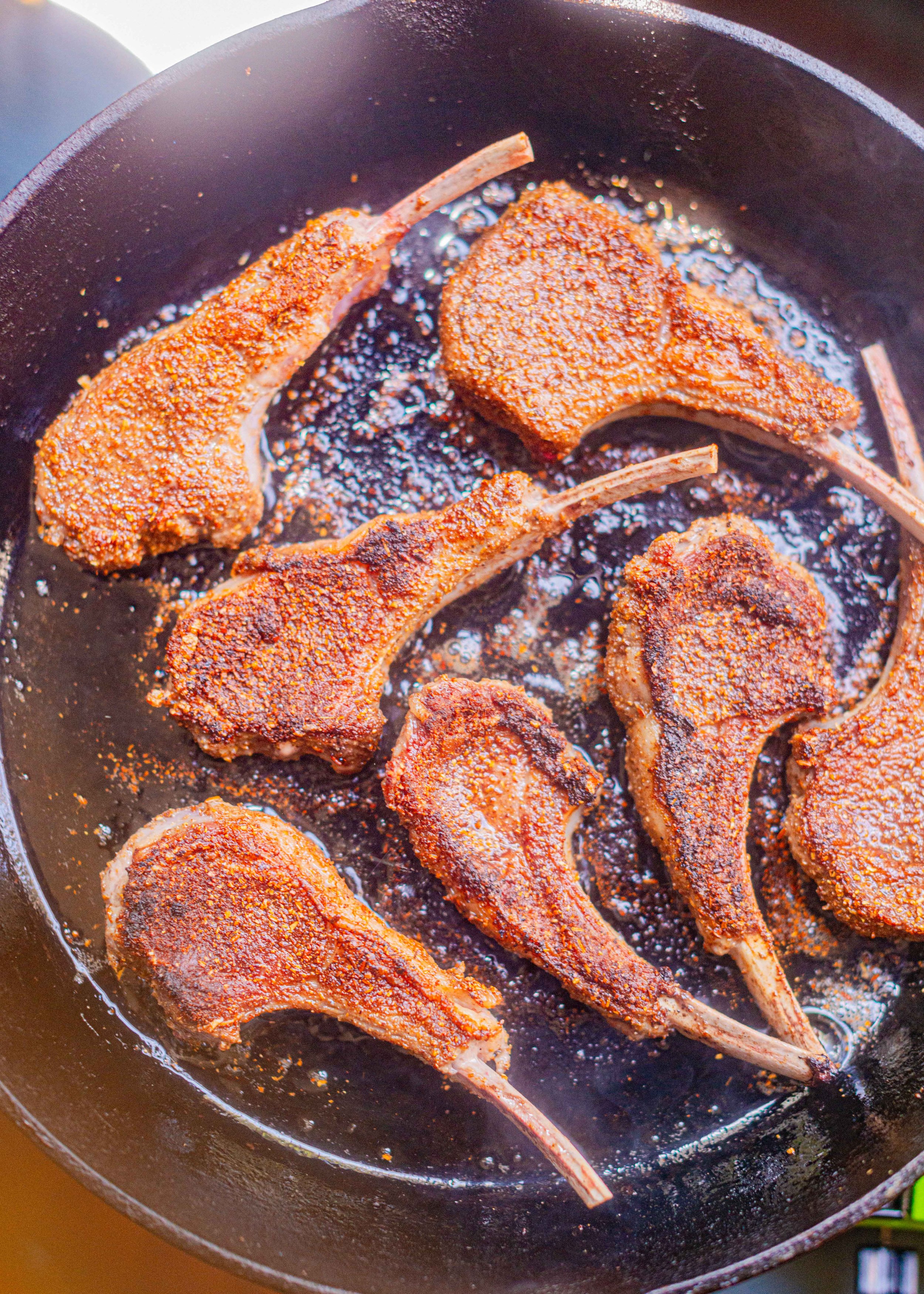 Lamb in Cilantro Vinager Sauce-WebSize5.jpg