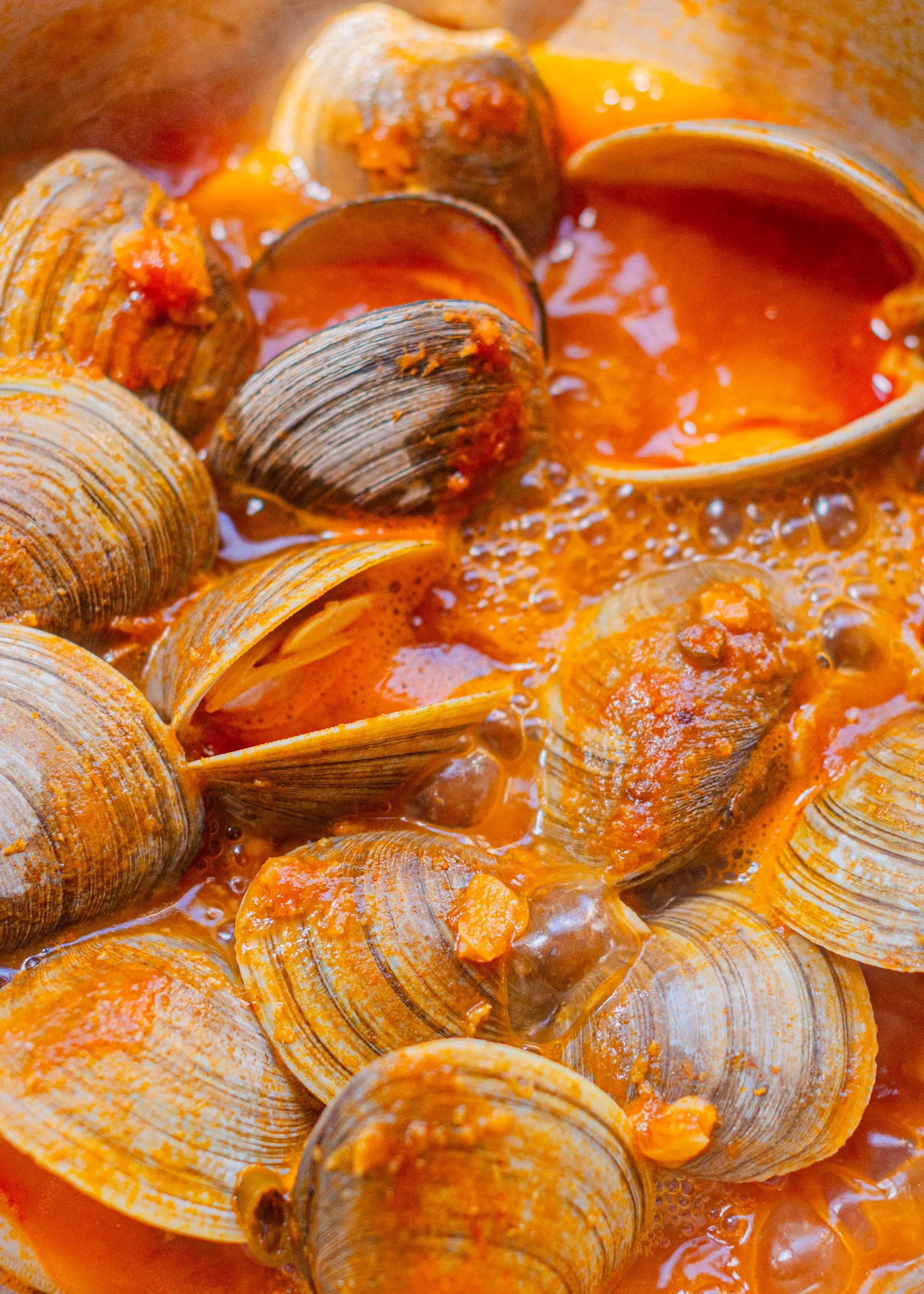 TomatoClams-LowQual13.jpg