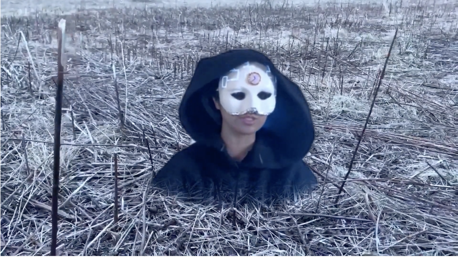 Screen Shot 2021-03-15 at 8.24.26 PM.png