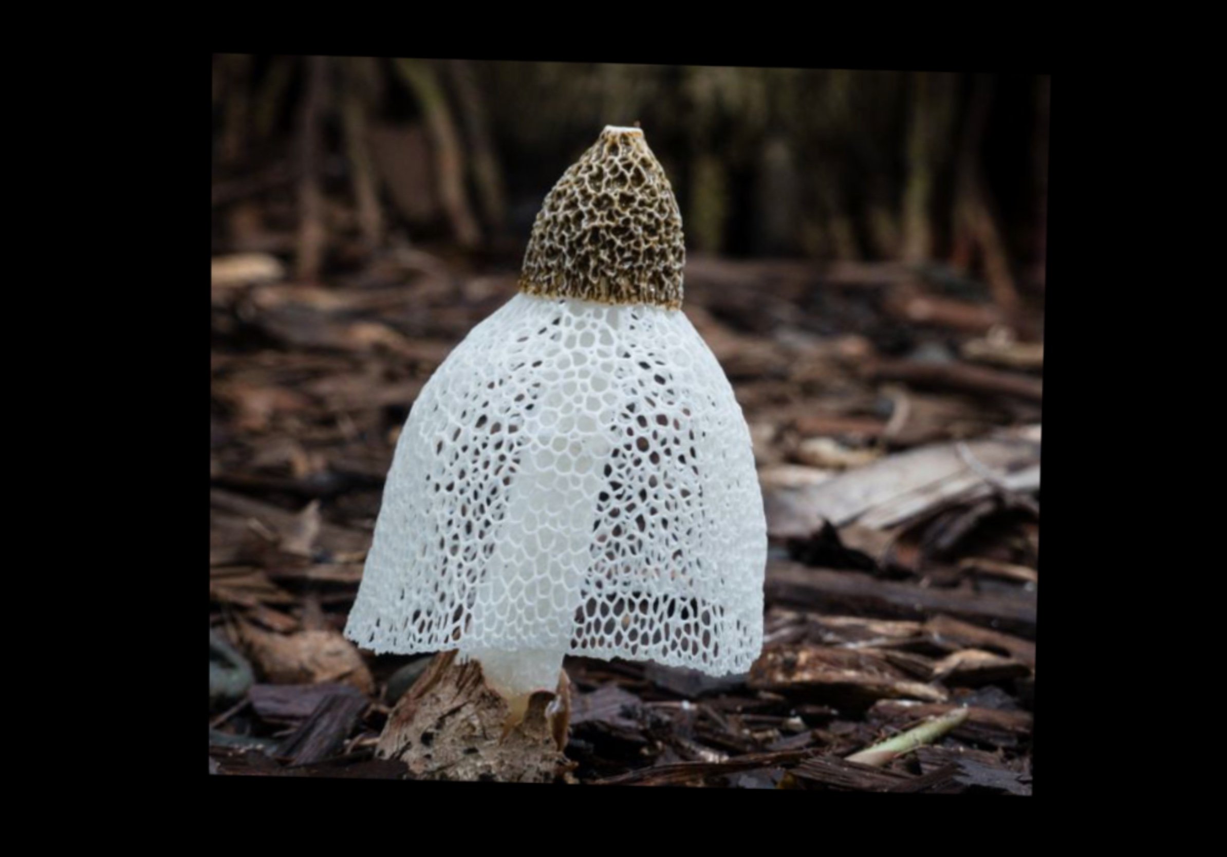 Untitled_Artwork 16.jpg