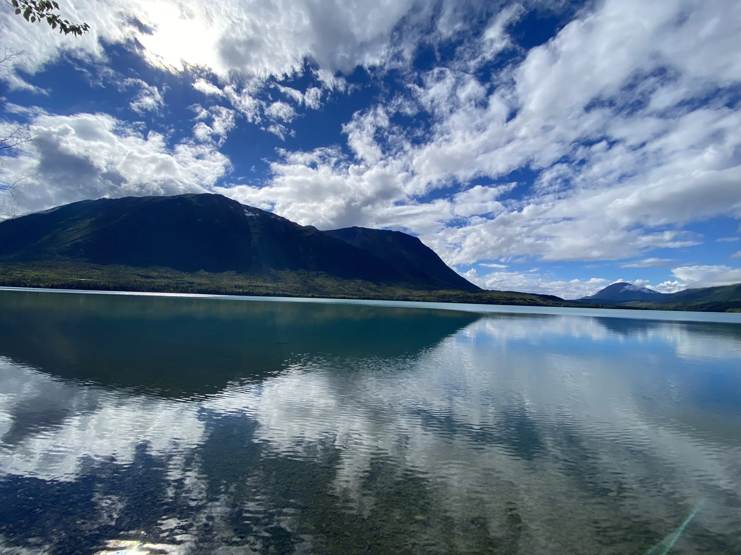  Kenai Peninsula, Alaska, USA 