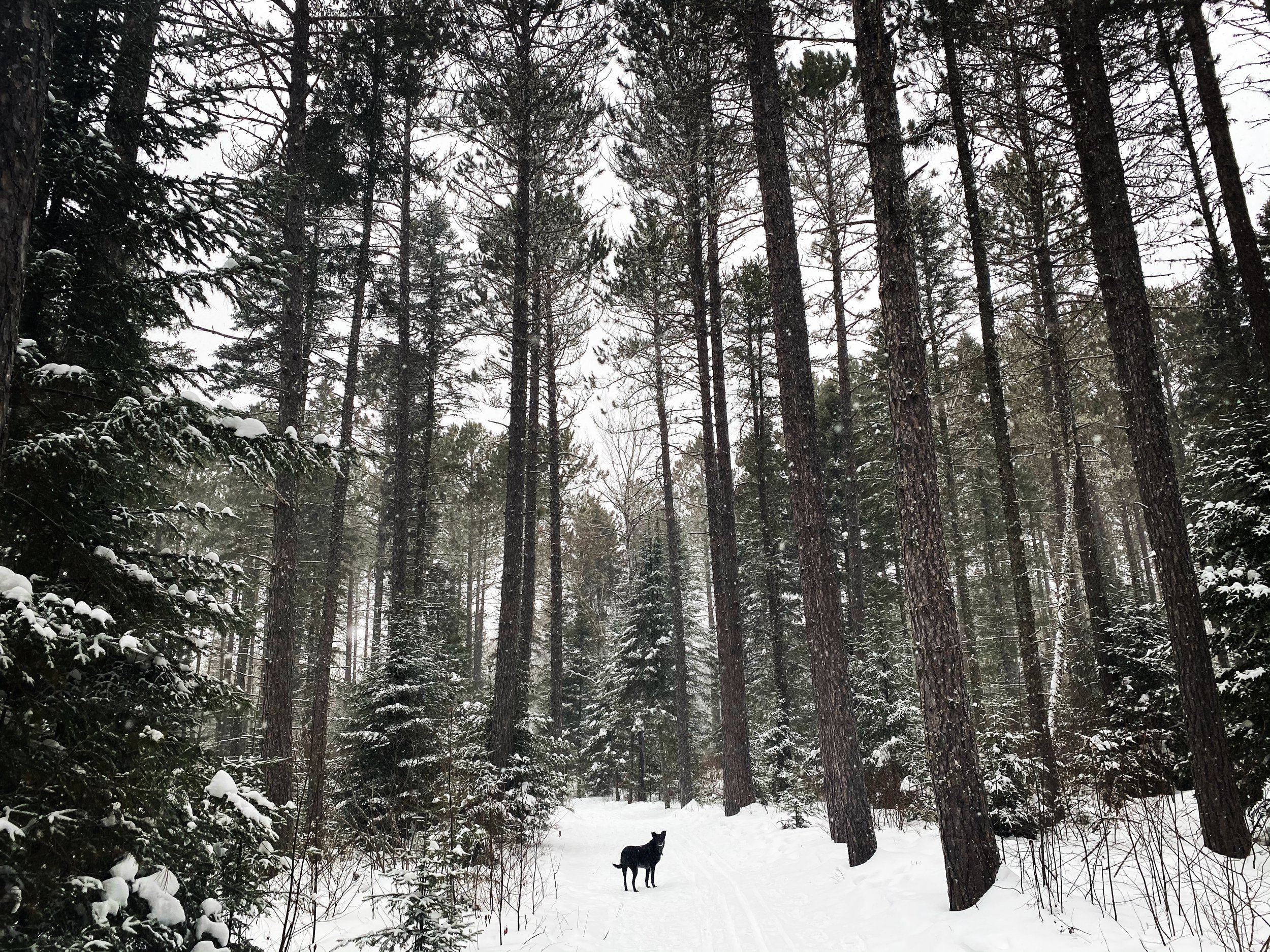  Grand Marais, Minnesota, USA  