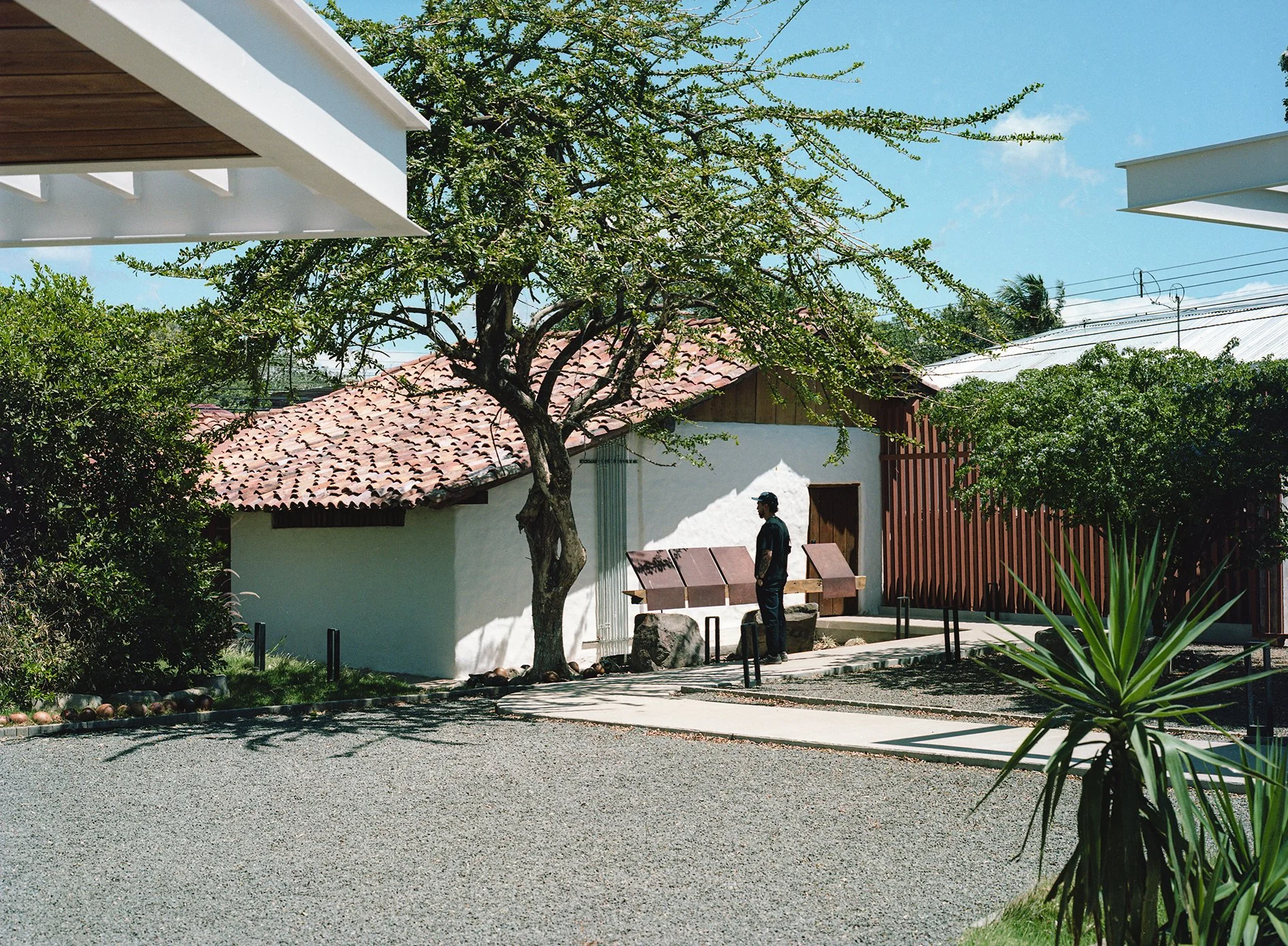 ANONIMO_MUSEO_120MM_003.jpg