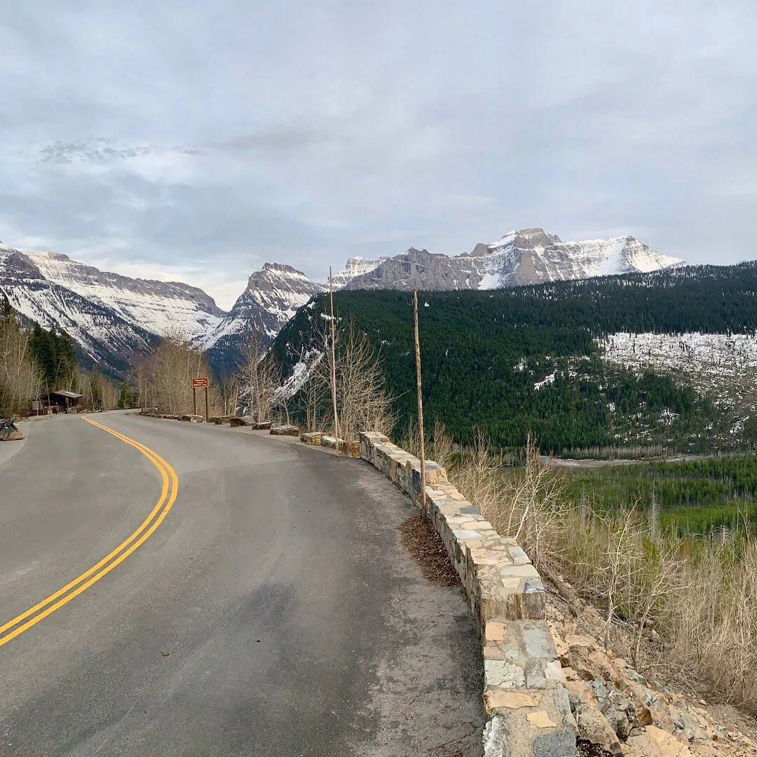 Finally saw my first bear (see last video). When I was up here last summer I asked some riders how often they see bears, one of them replied &ldquo;so often it&rsquo;s not even reportable. I&rsquo;ve seen well over 20 this season.&rdquo; 💆&zwj;♂️ #g