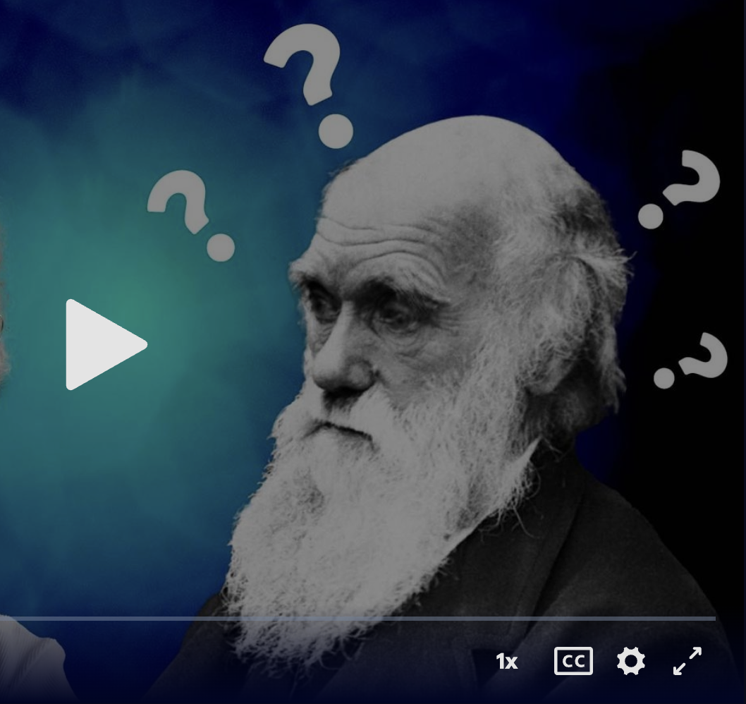 Screenshot 2026-02-17 at 6.32.28 PM.png