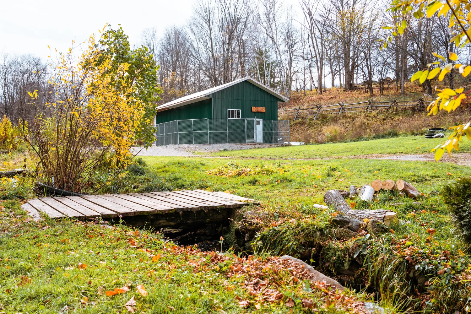 Facilities — K Country Kennels