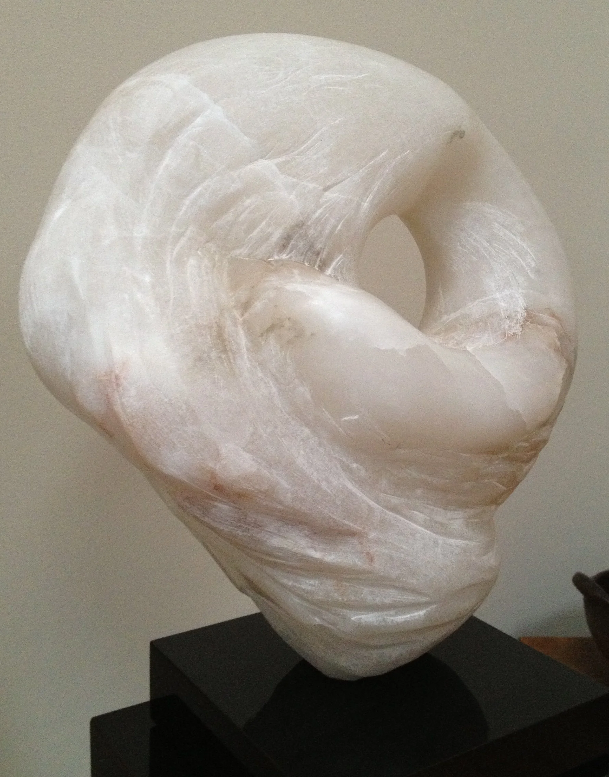 Swan Reverie copy.jpeg
