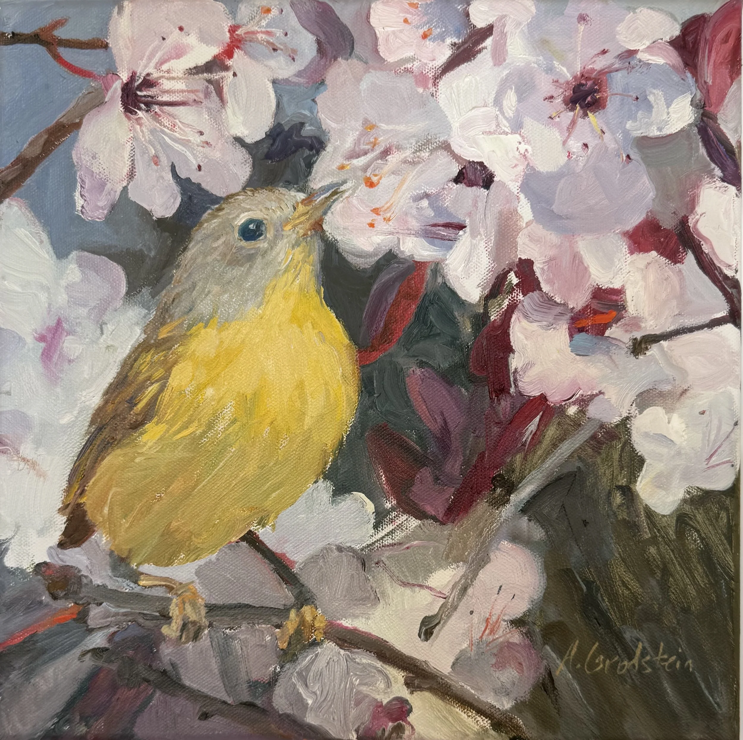 Nashville Warbler hr.jpg