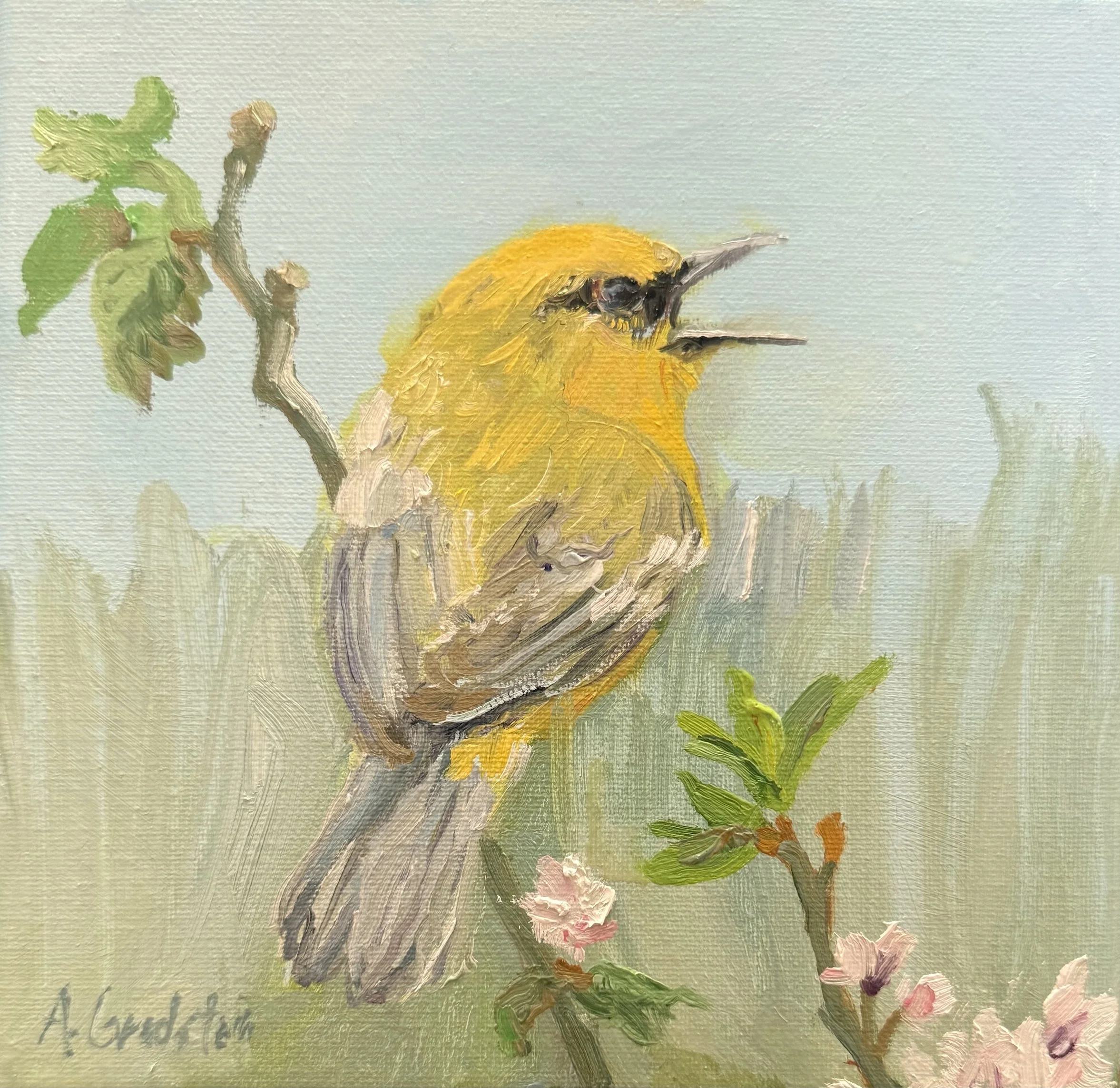 Blue-winged Warbler.jpg