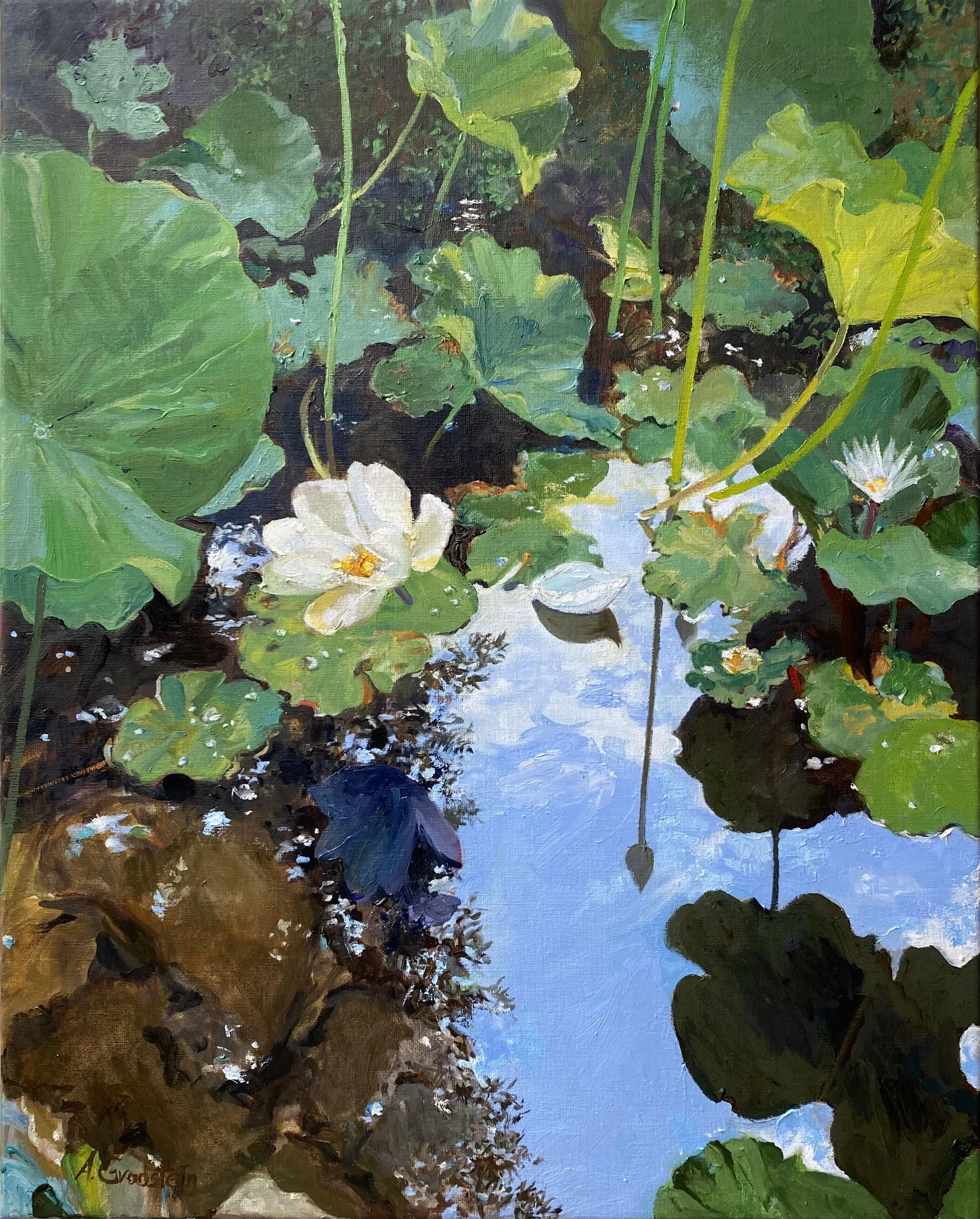 Water Lily Pond hr.jpeg