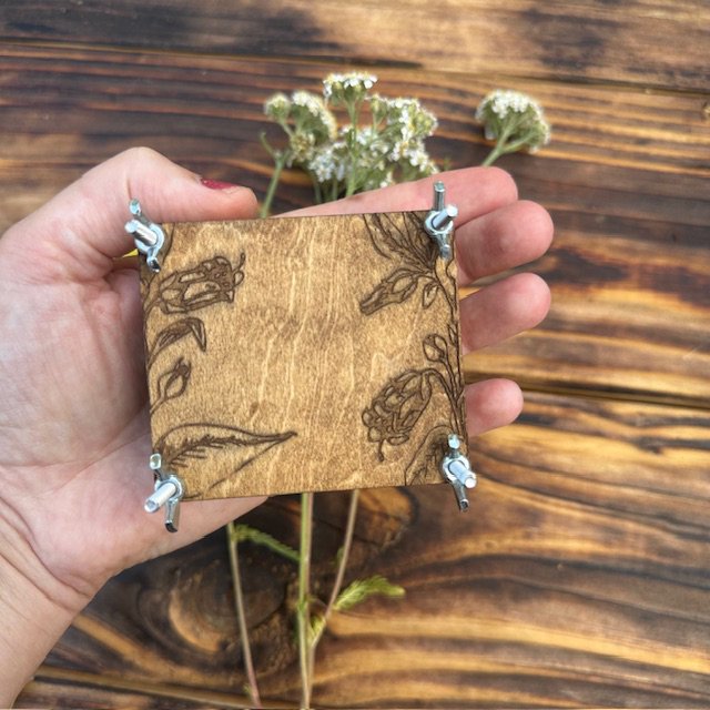 Square Walnut in hand.jpg