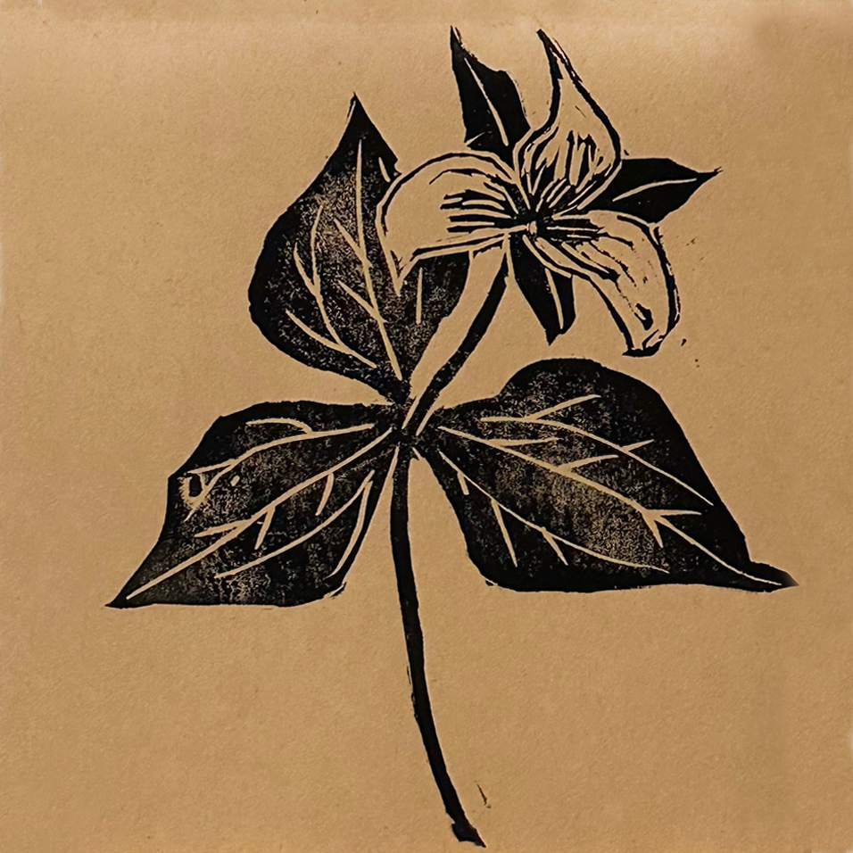 Trillium .png