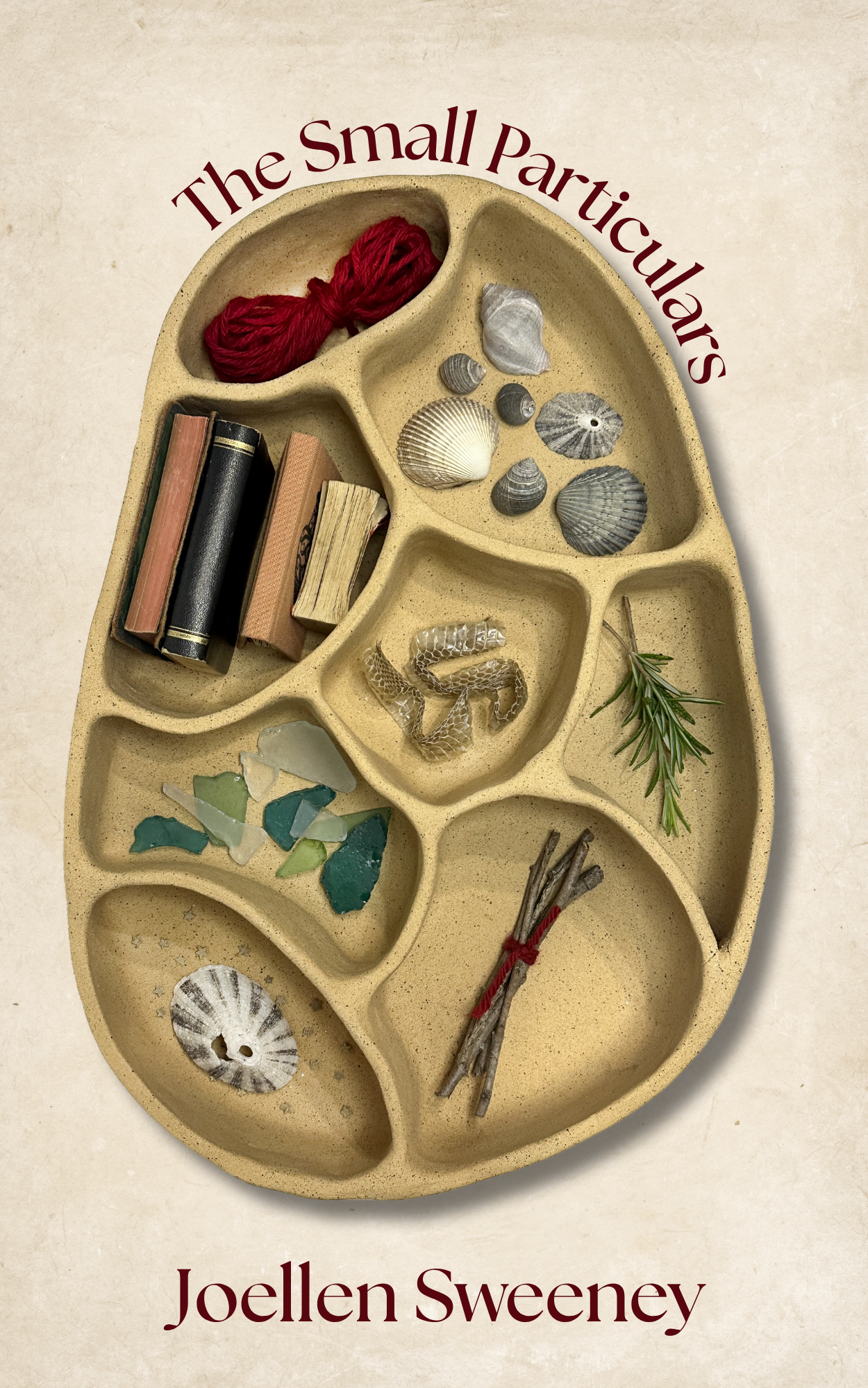 The Small Particulars Cover Art.png