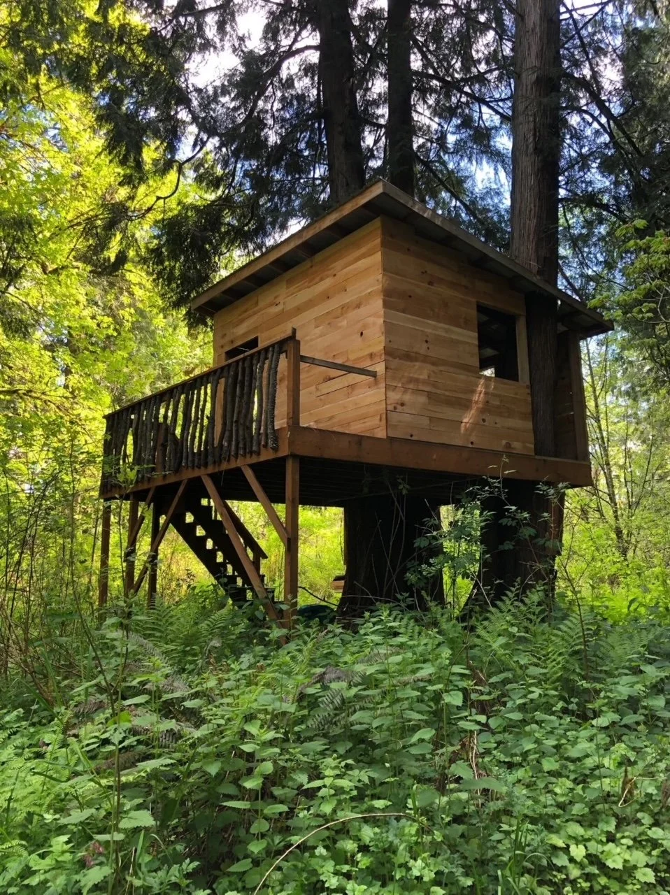 treehouse.jpg