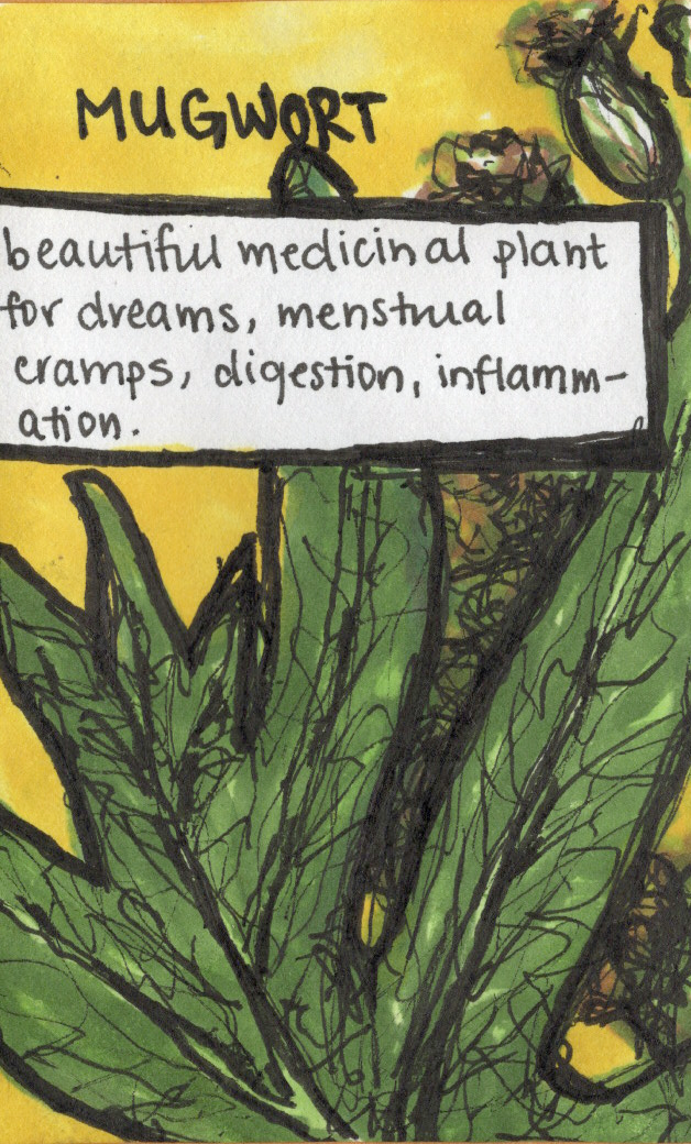 mugwort.png