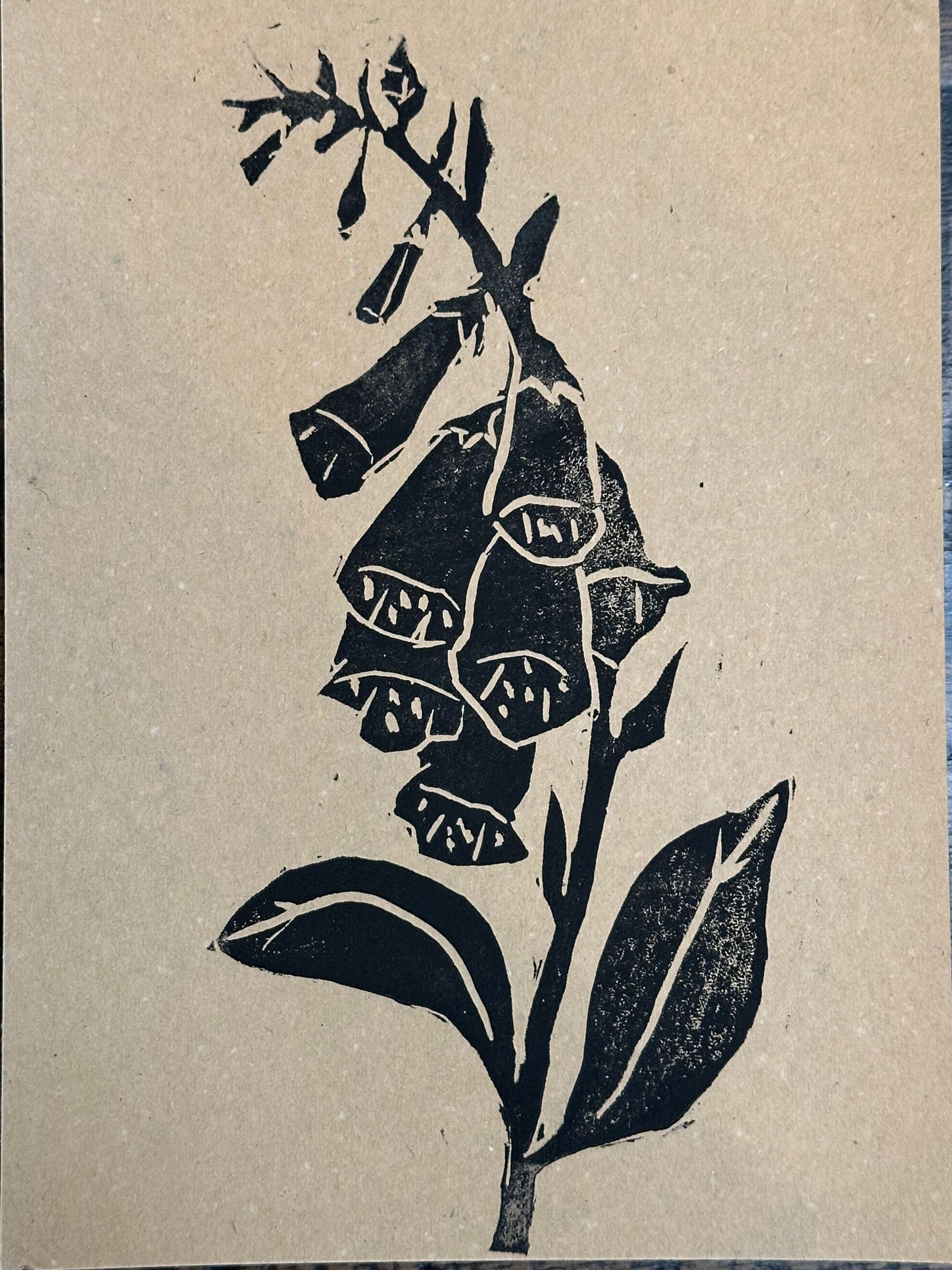 foxglove Print.jpg