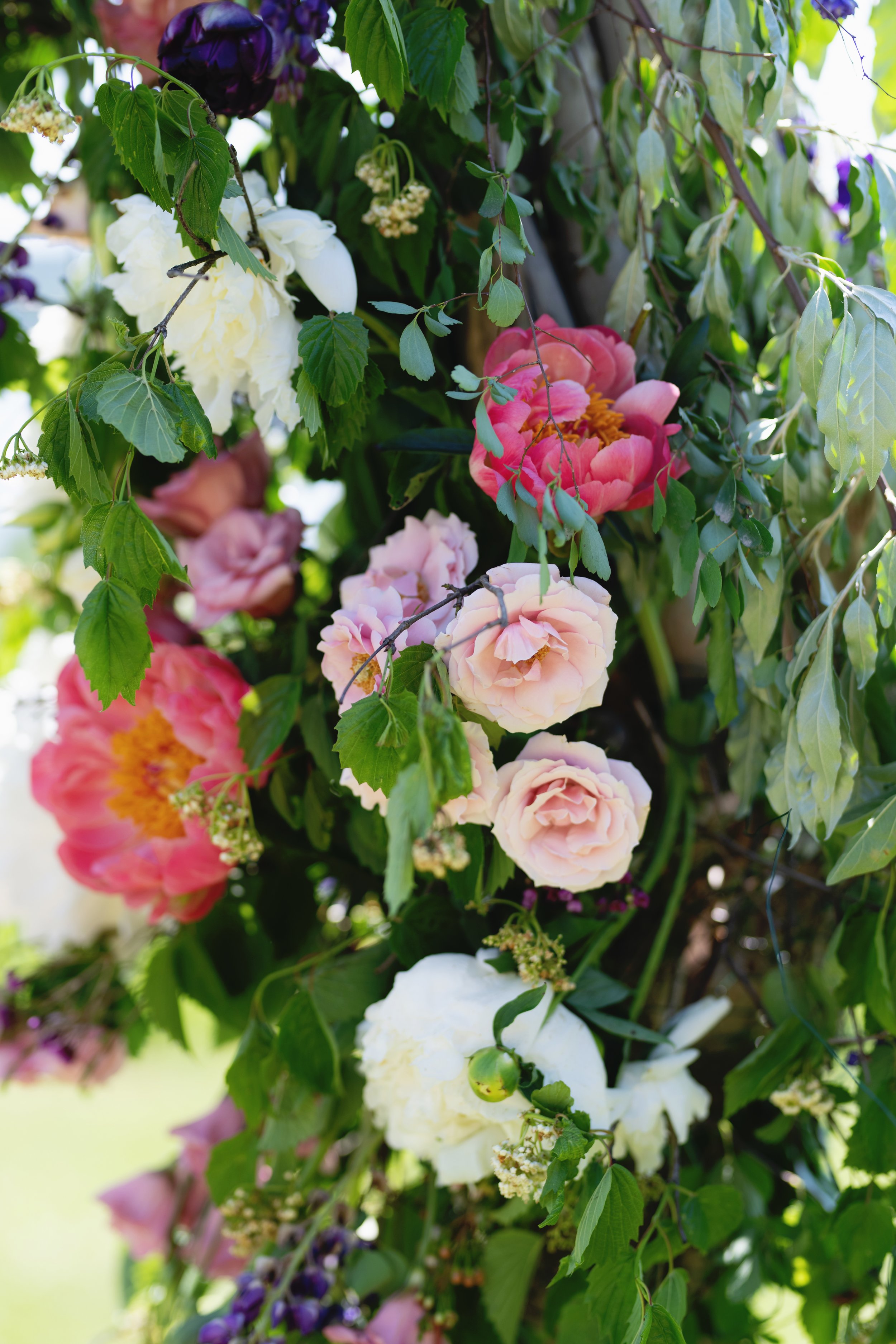 Colorful floral arrangement with pink, white, and purple flowers, surrounded by lush green leaves.