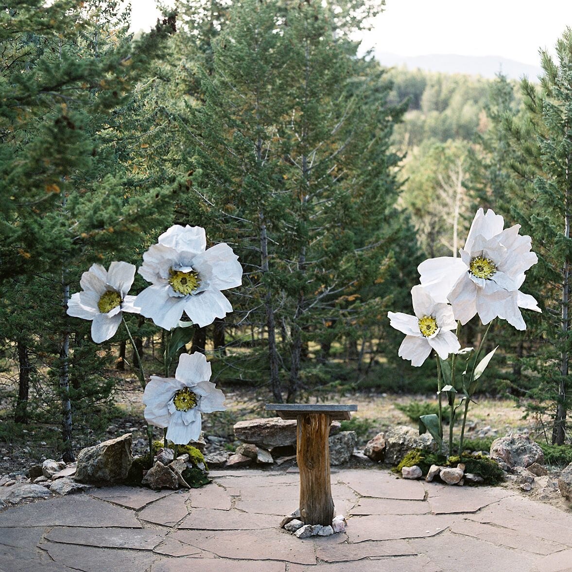 A wildflower wedding altar, made for the mountains 

We&rsquo;re excited to continue with more installation work in 2024 ✨ It&rsquo;s been interesting to play with the scale of things to create pieces that feel larger than life &mdash; just like thes