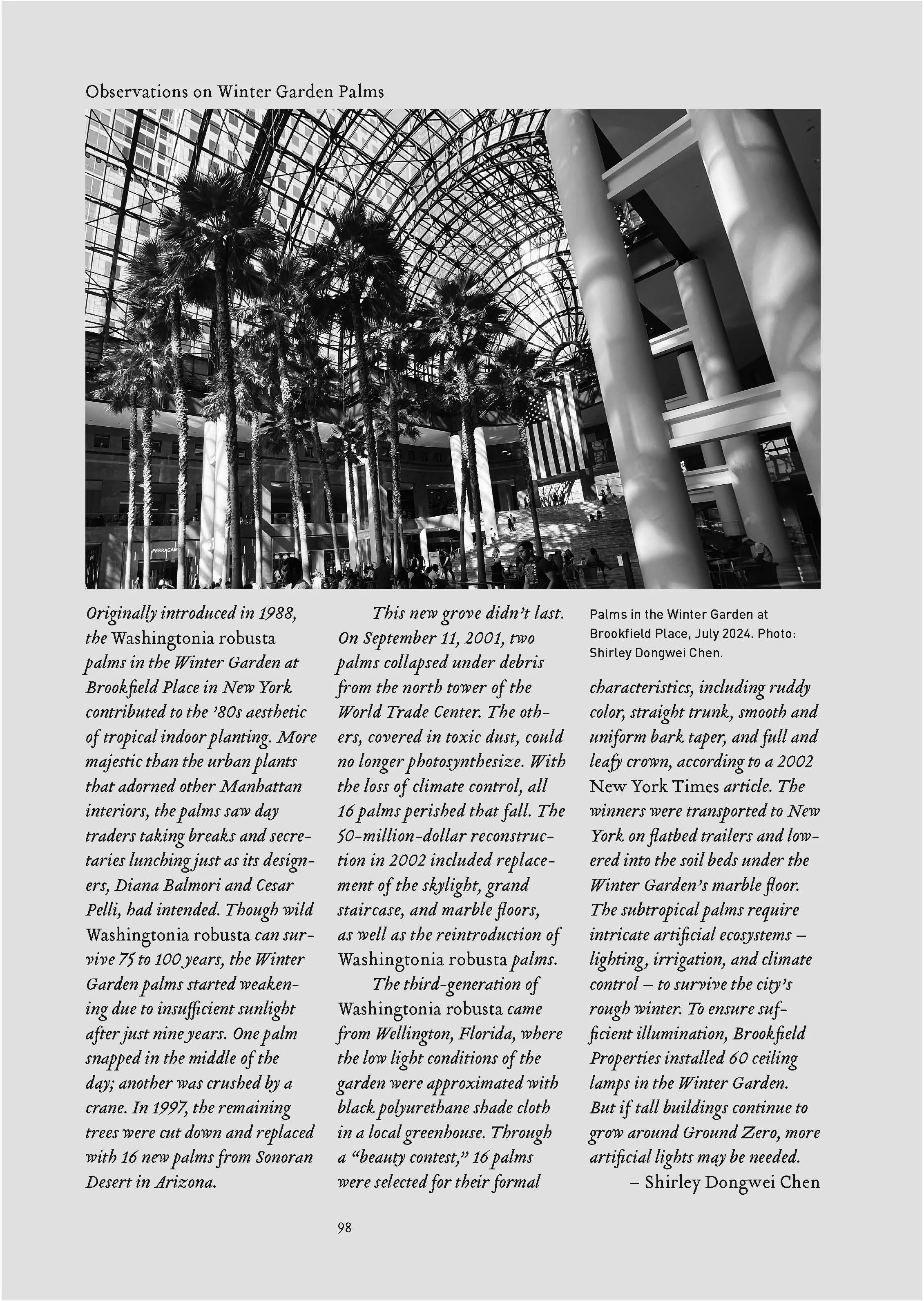 Log 63: Observations on Winter Garden Palms